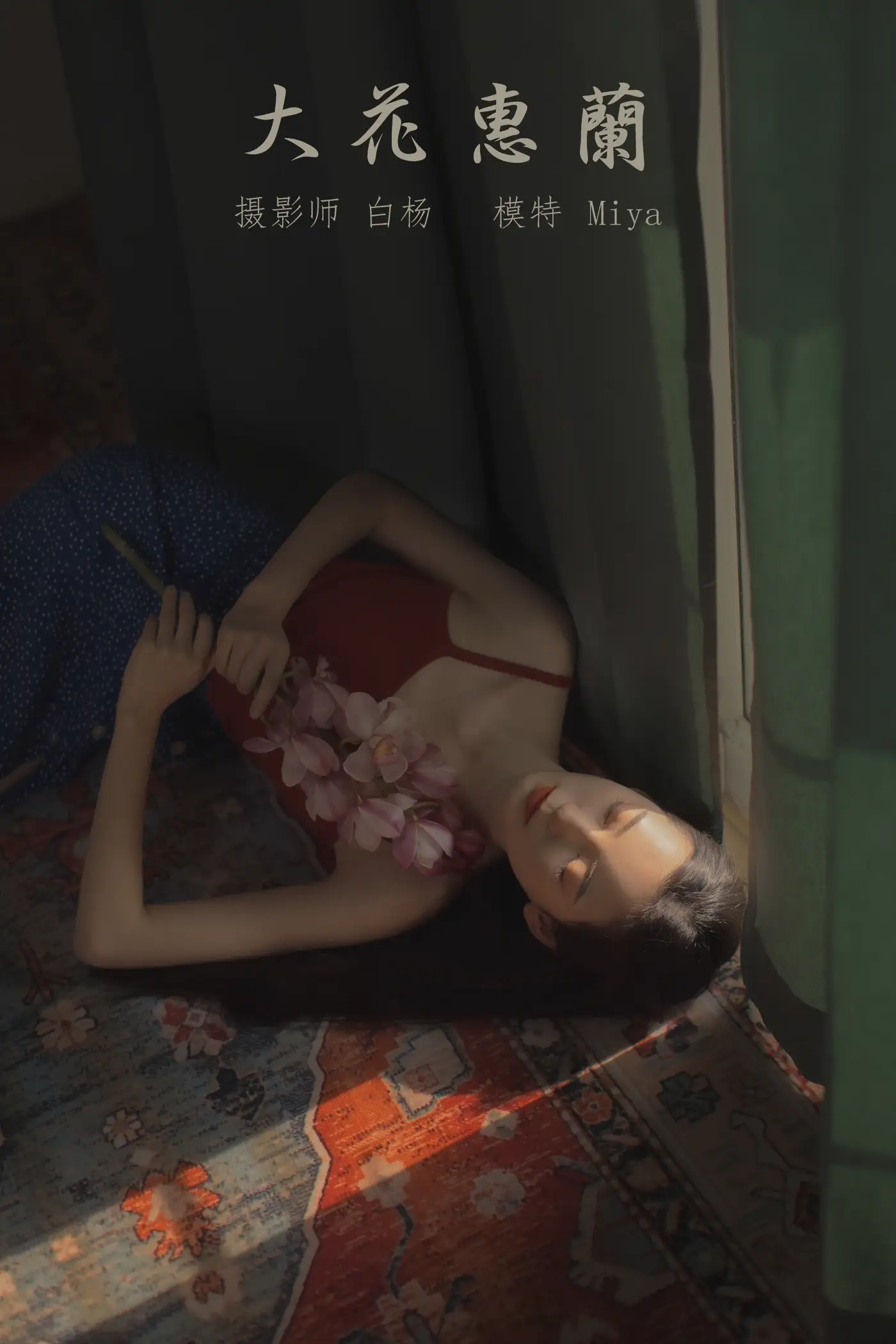 2022.01.03 Vol.573 – 大花蕙兰