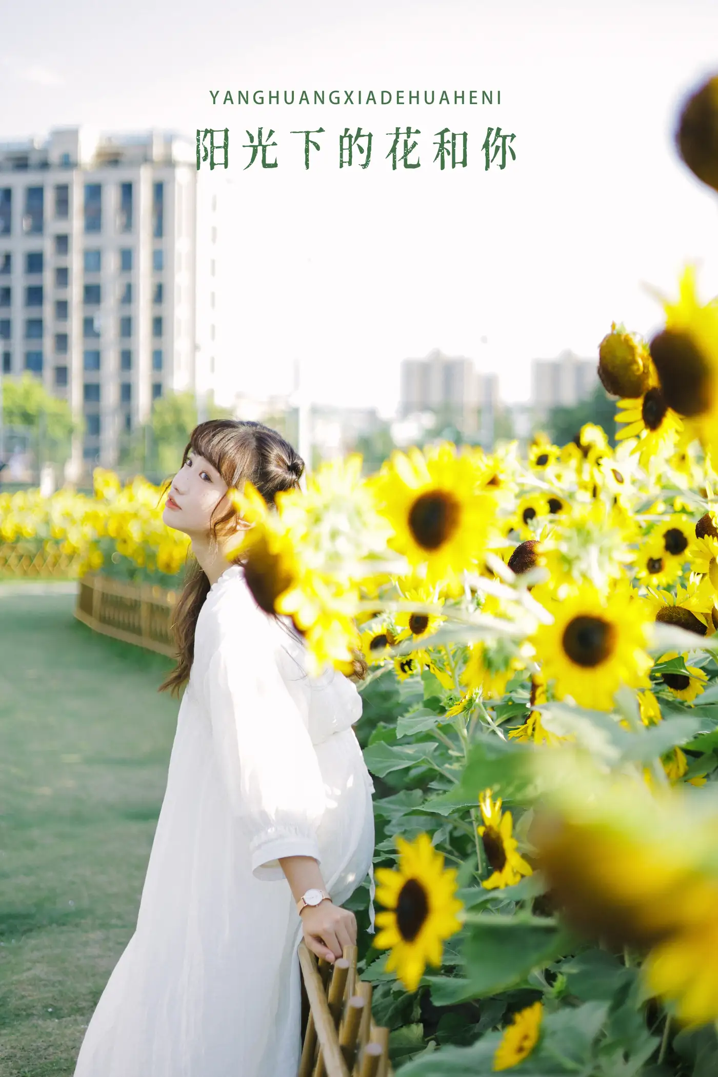 2022.08.29 Vol.1822 – 阳光下的花和你