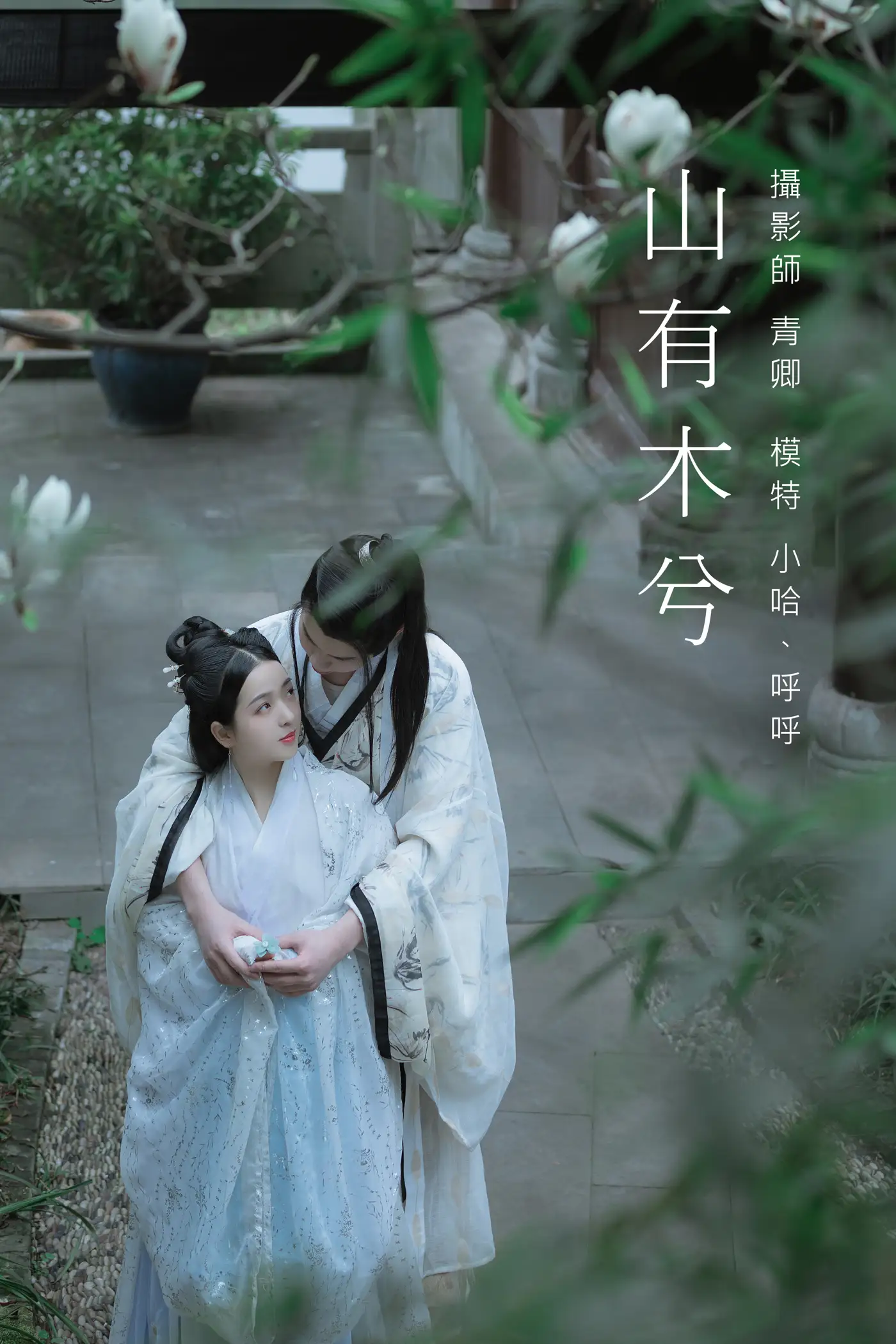 2021.09.04 Vol.249 – 山有木兮
