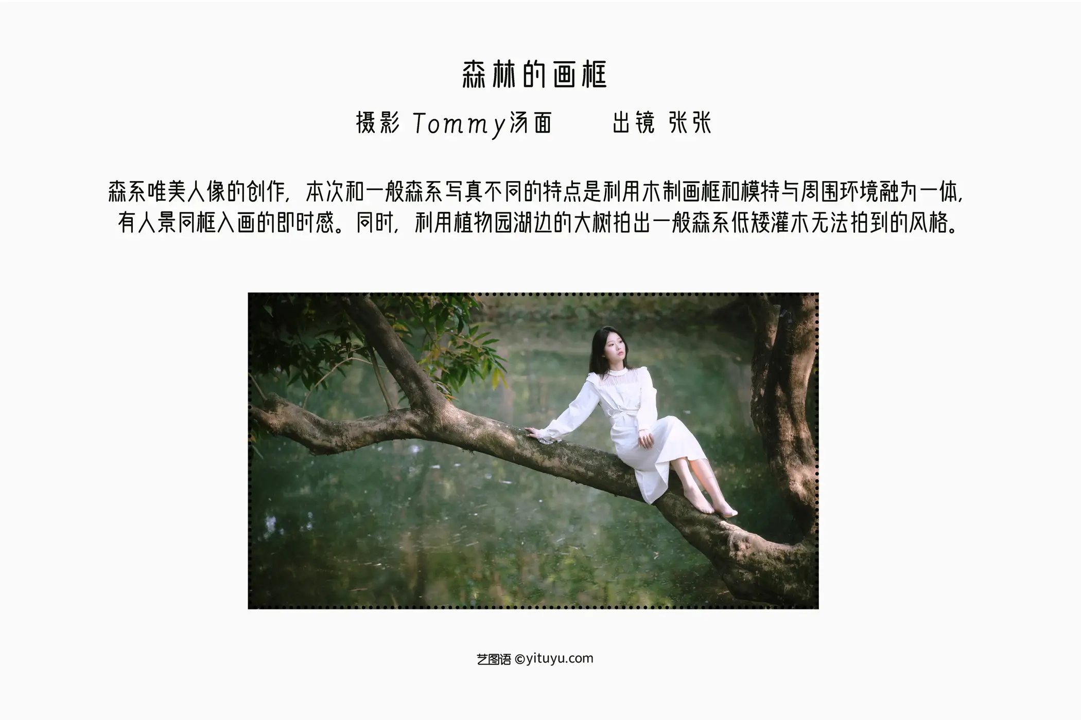 2022.09.06 Vol.1884 – 森林的画框 2