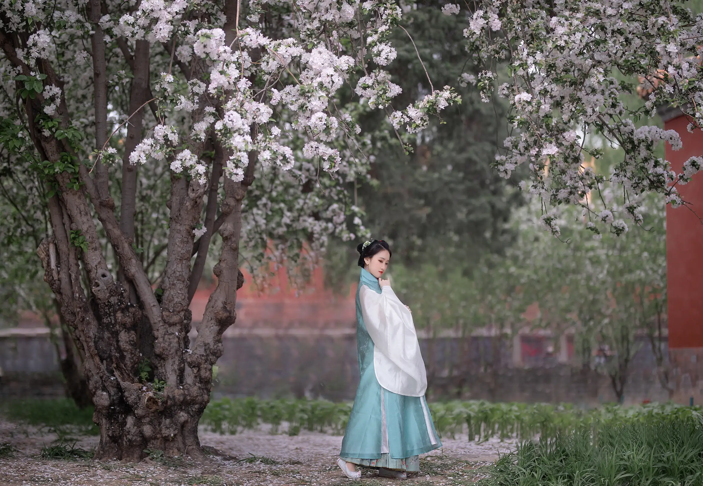 2021.08.30 Vol.194 – 花想容 20