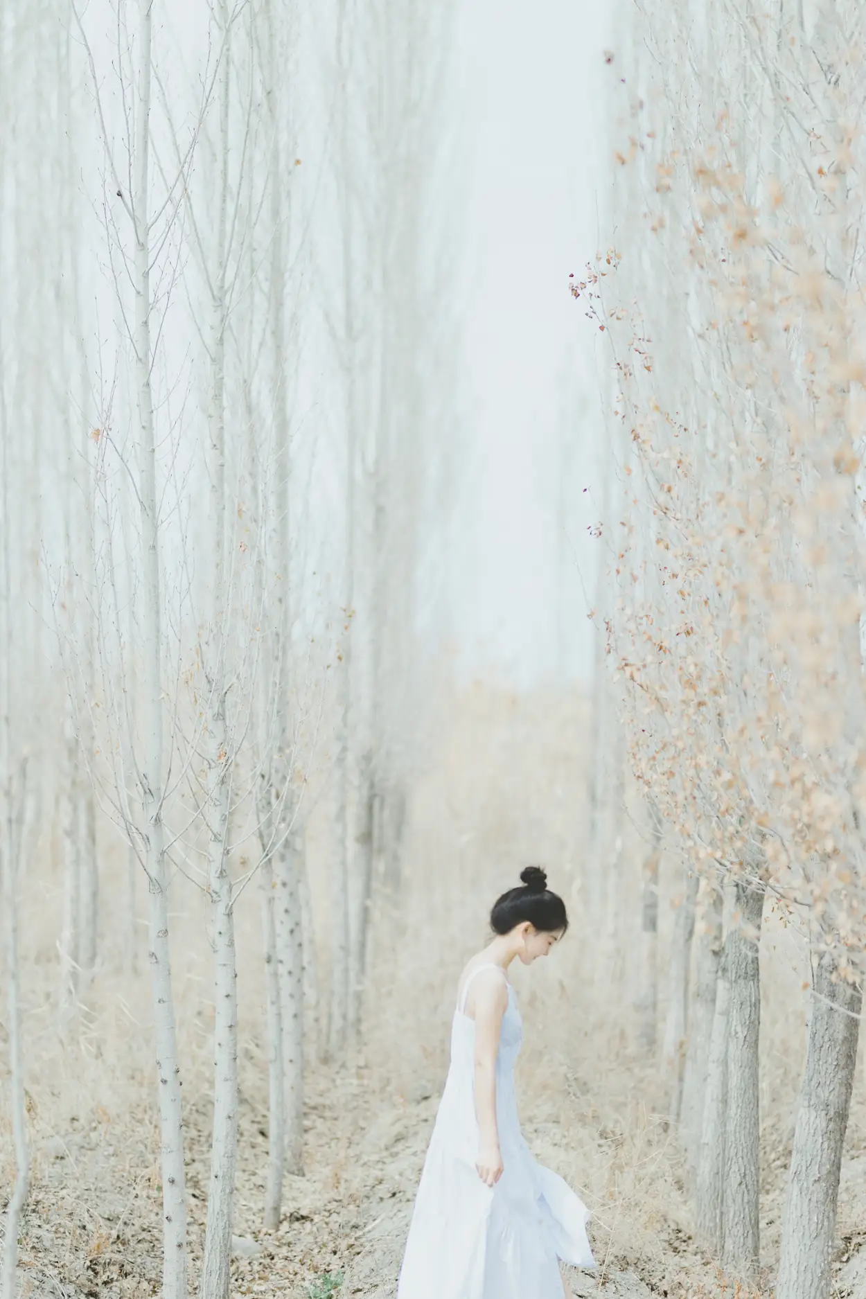 2021.10.09 Vol.341 – 等春来 11