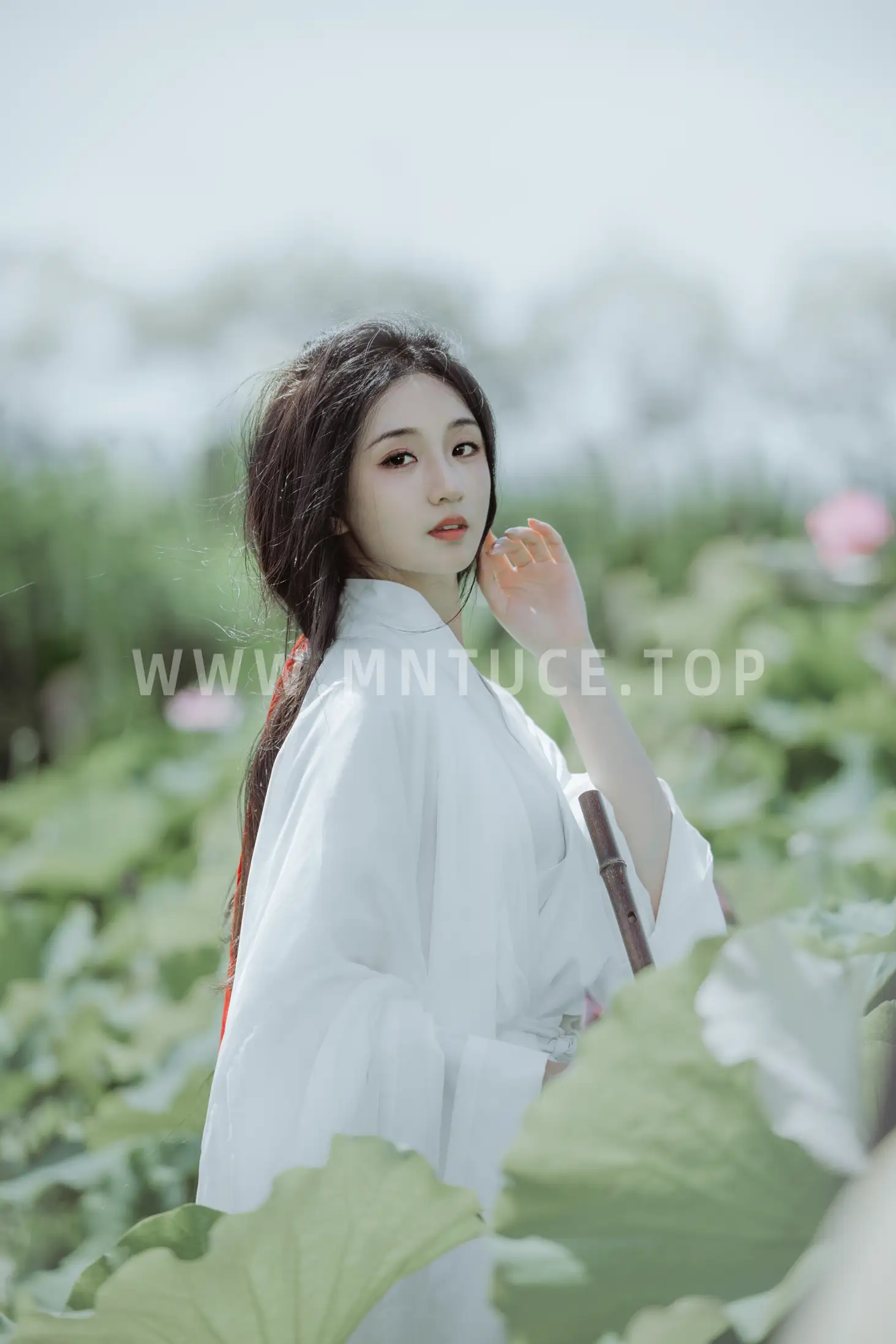 2022.08.06 Vol.1638 – 荷花 18