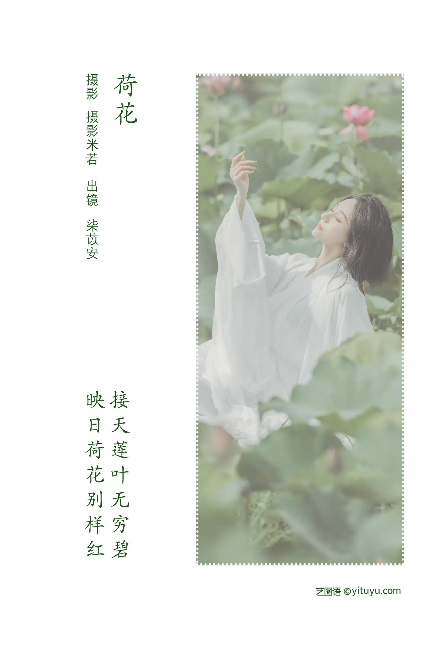 2022.08.06 Vol.1638 – 荷花 2