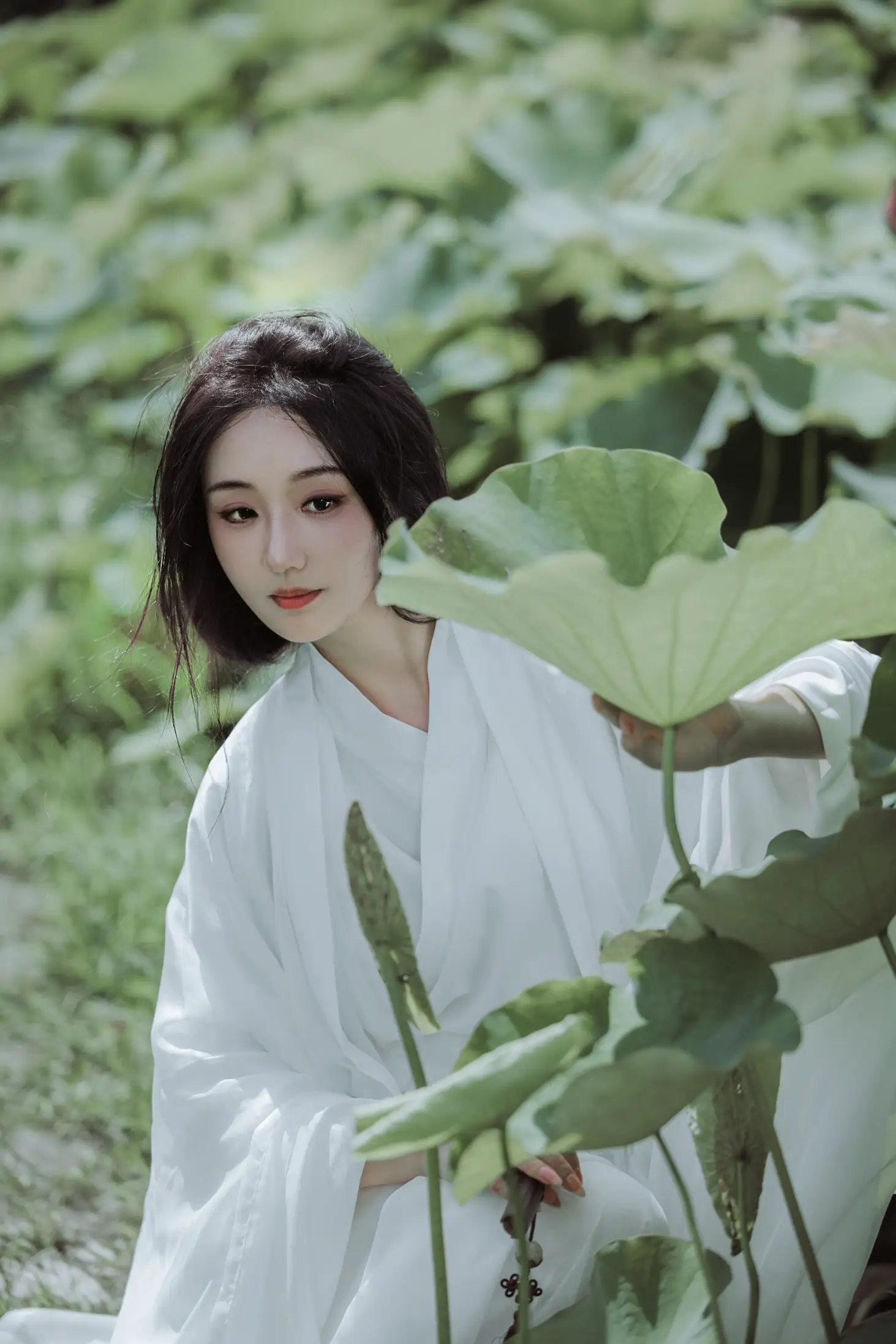 2022.08.06 Vol.1638 – 荷花 21