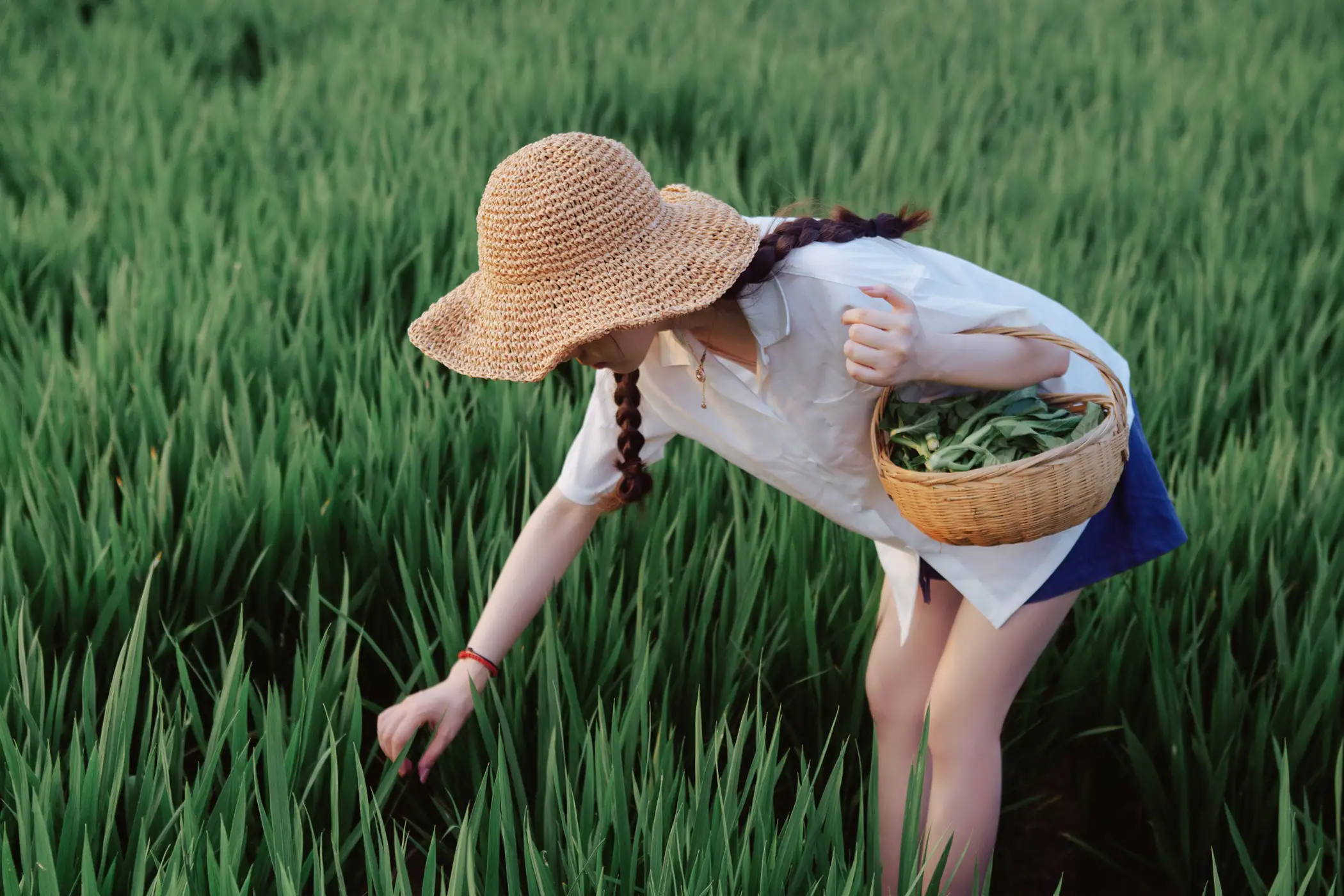 2021.06.28 Vol.080 – 小森林.秋夏 15