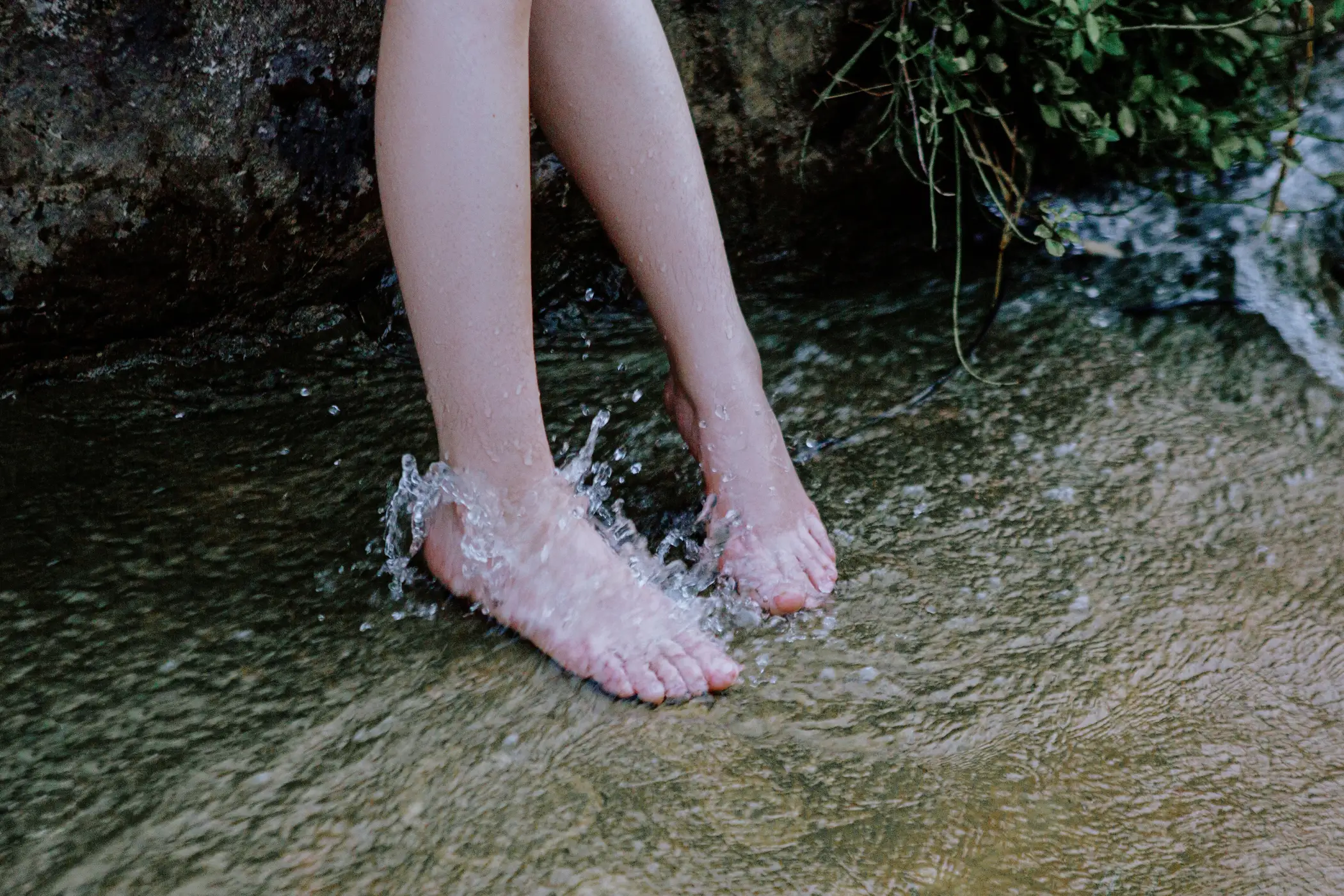 2021.06.28 Vol.080 – 小森林.秋夏 20