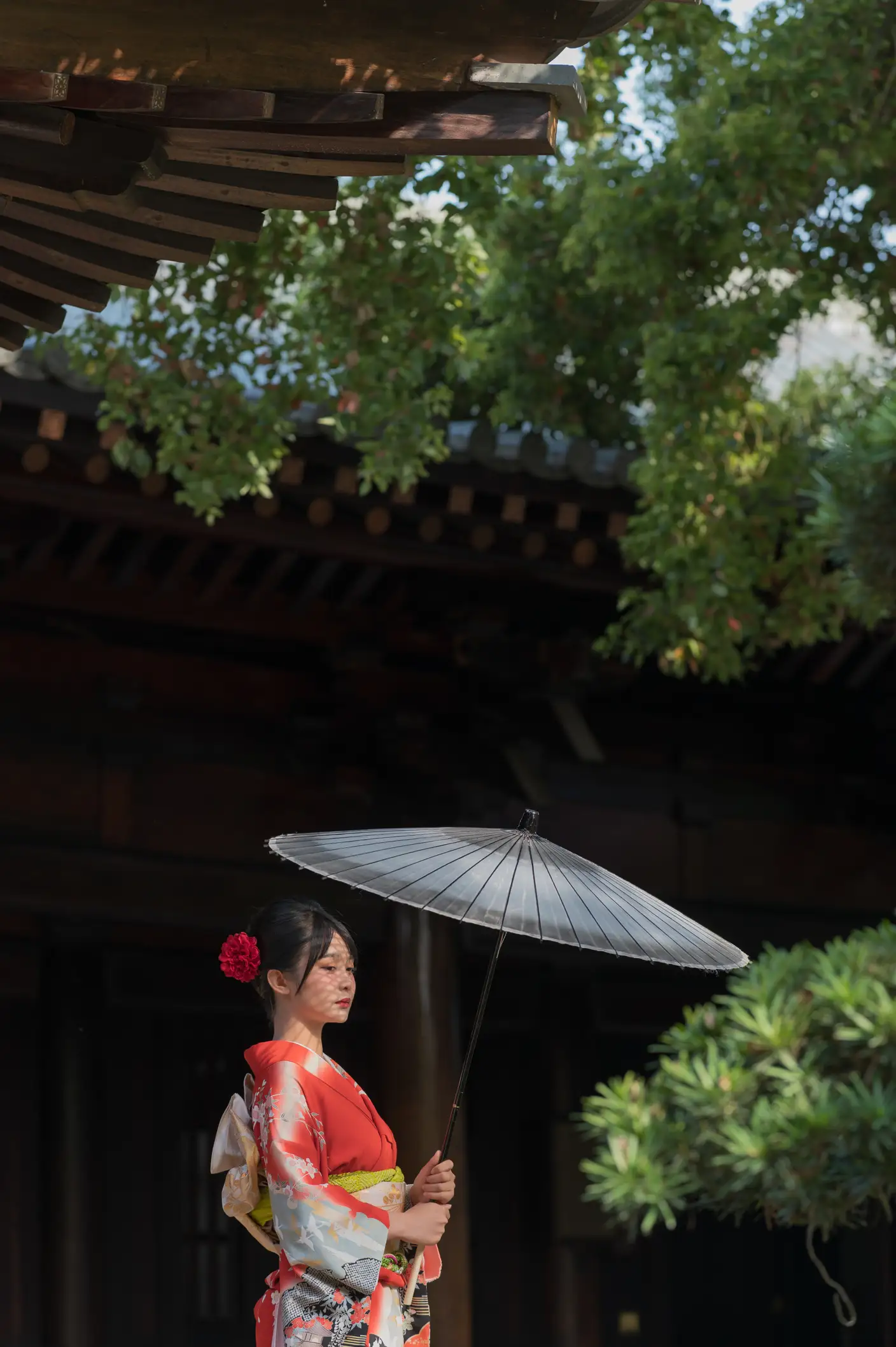 2022.06.15 Vol.1191 – 晚唐和风 6