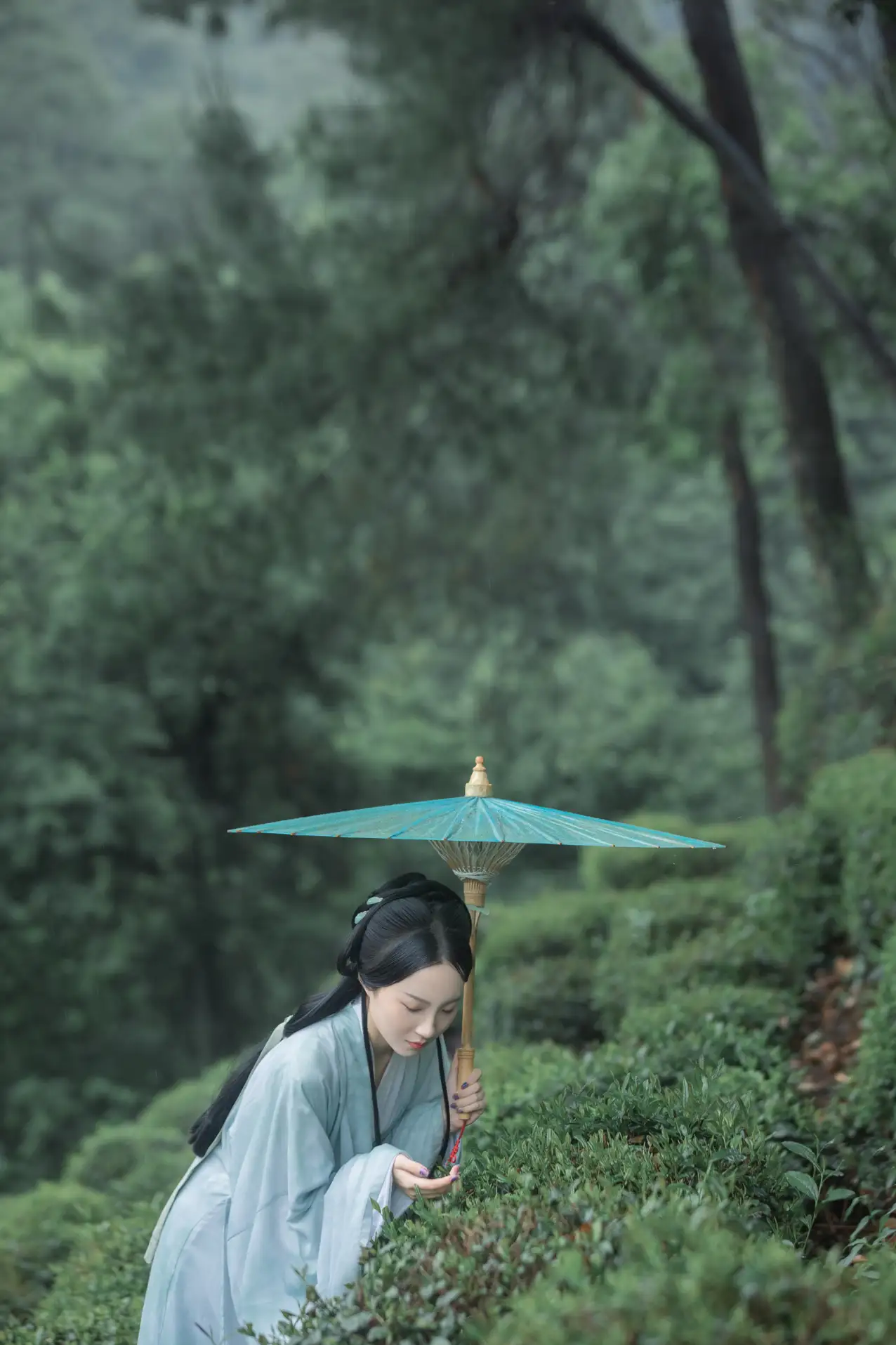 2022.07.05 Vol.1384 – 空山新雨 11