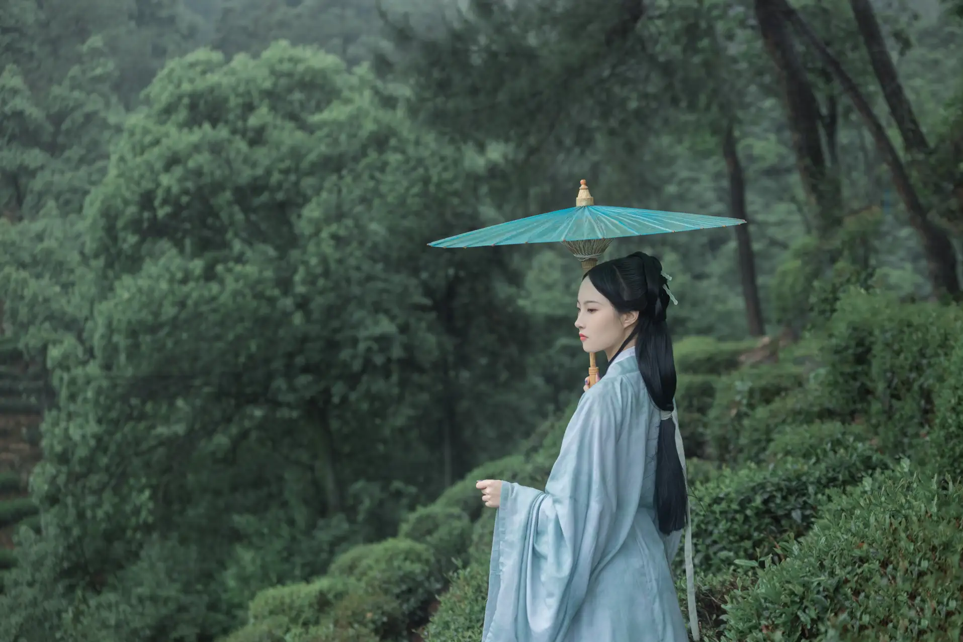 2022.07.05 Vol.1384 – 空山新雨 12