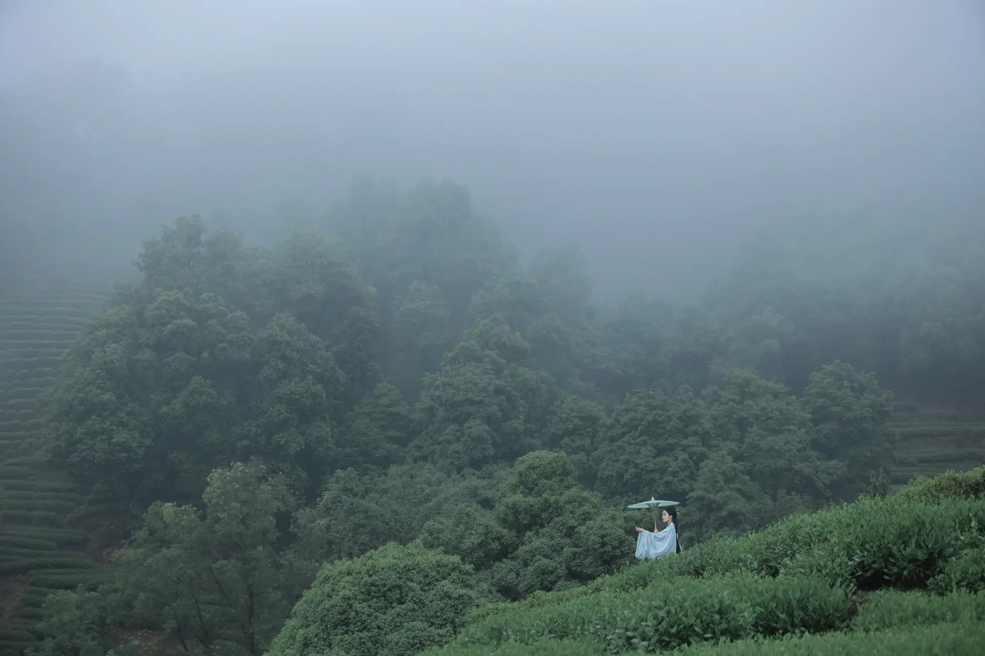 2022.07.05 Vol.1384 – 空山新雨 14
