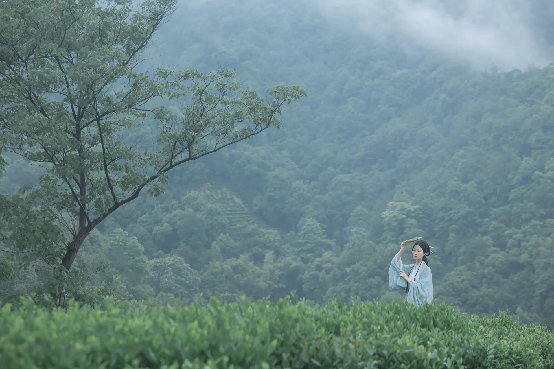 2022.07.05 Vol.1384 – 空山新雨 22