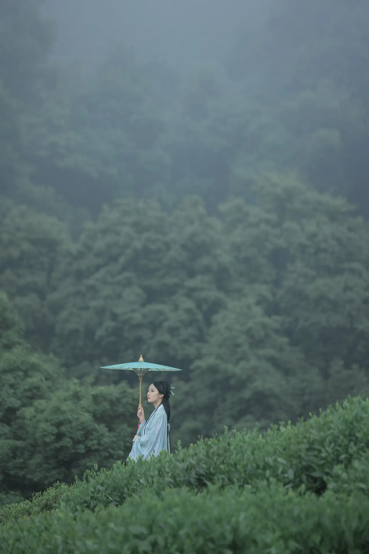 2022.07.05 Vol.1384 – 空山新雨 3