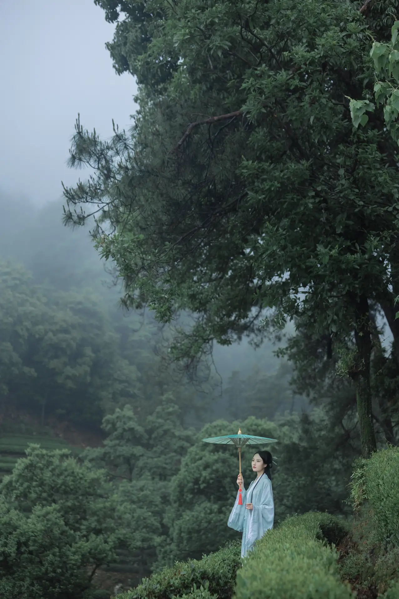 2022.07.05 Vol.1384 – 空山新雨 4