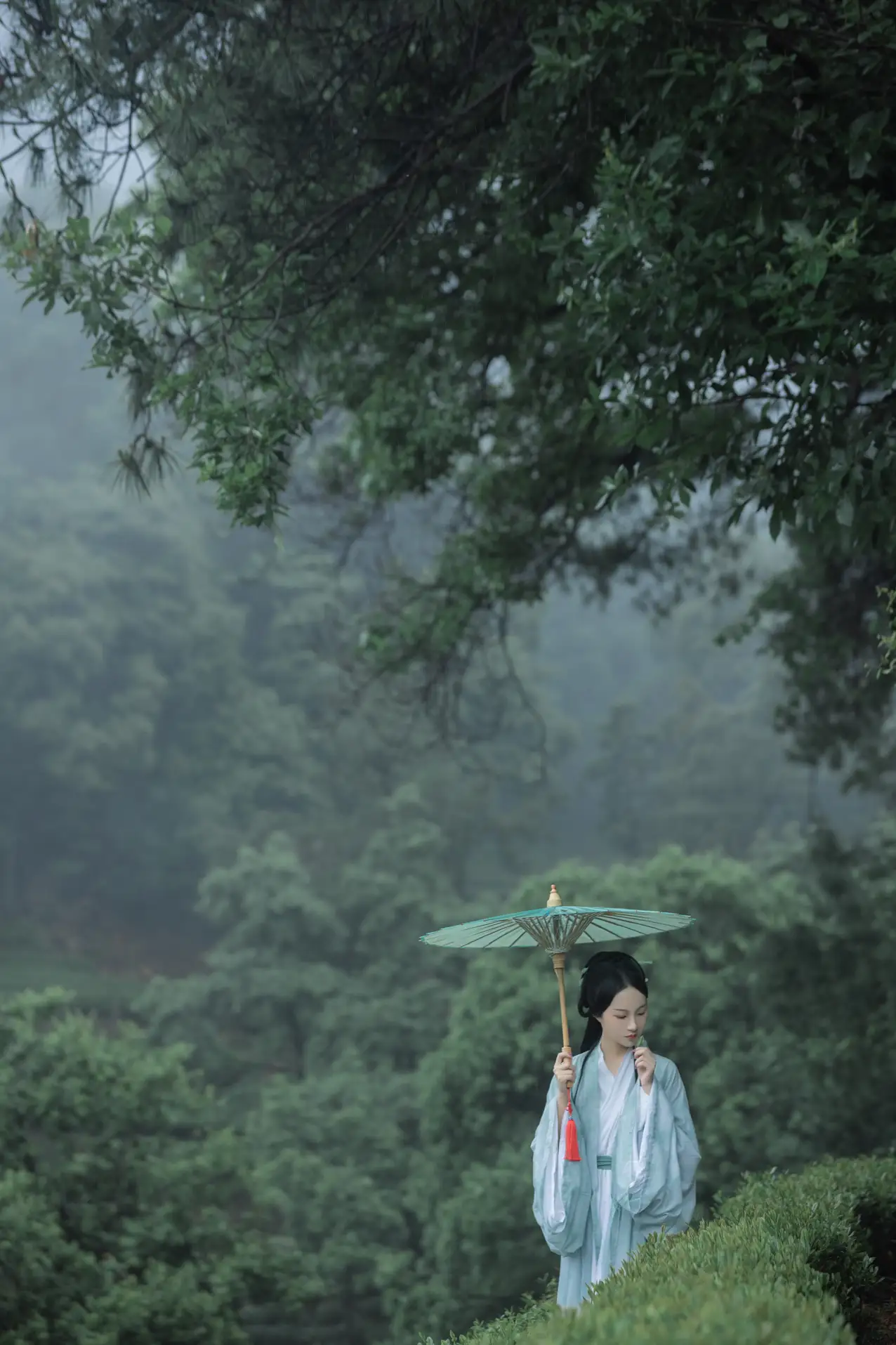 2022.07.05 Vol.1384 – 空山新雨 5