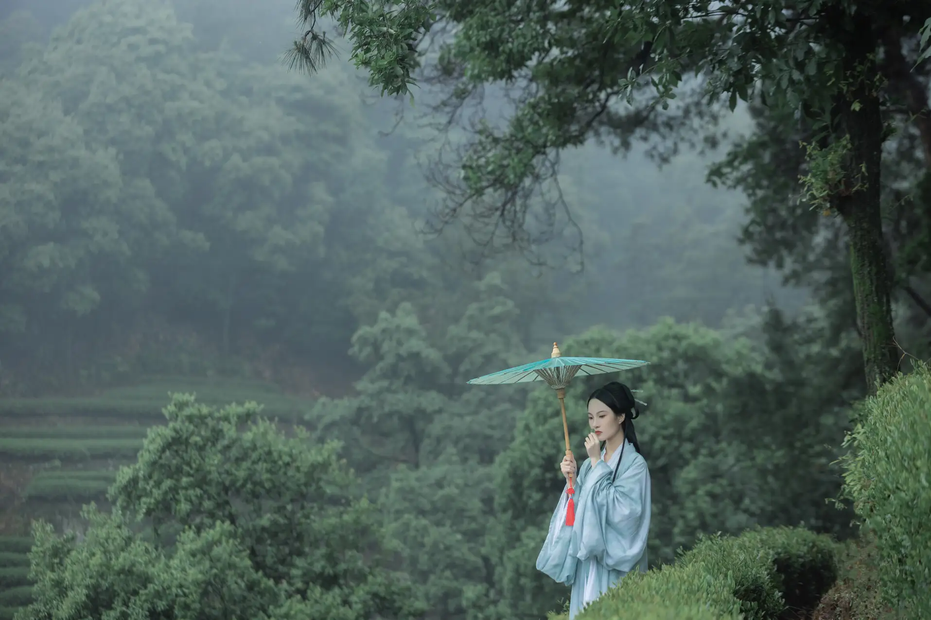 2022.07.05 Vol.1384 – 空山新雨 6