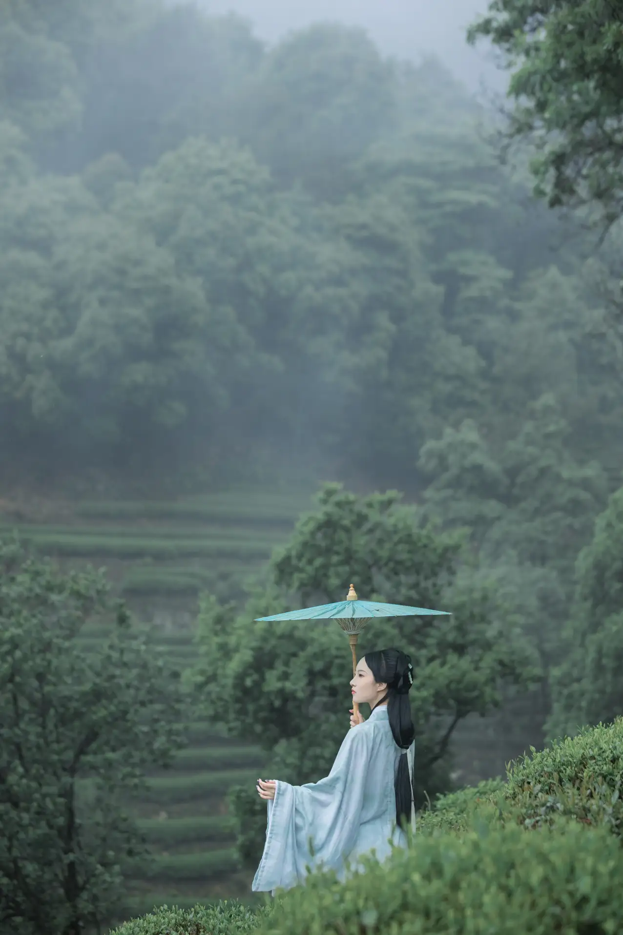 2022.07.05 Vol.1384 – 空山新雨 7