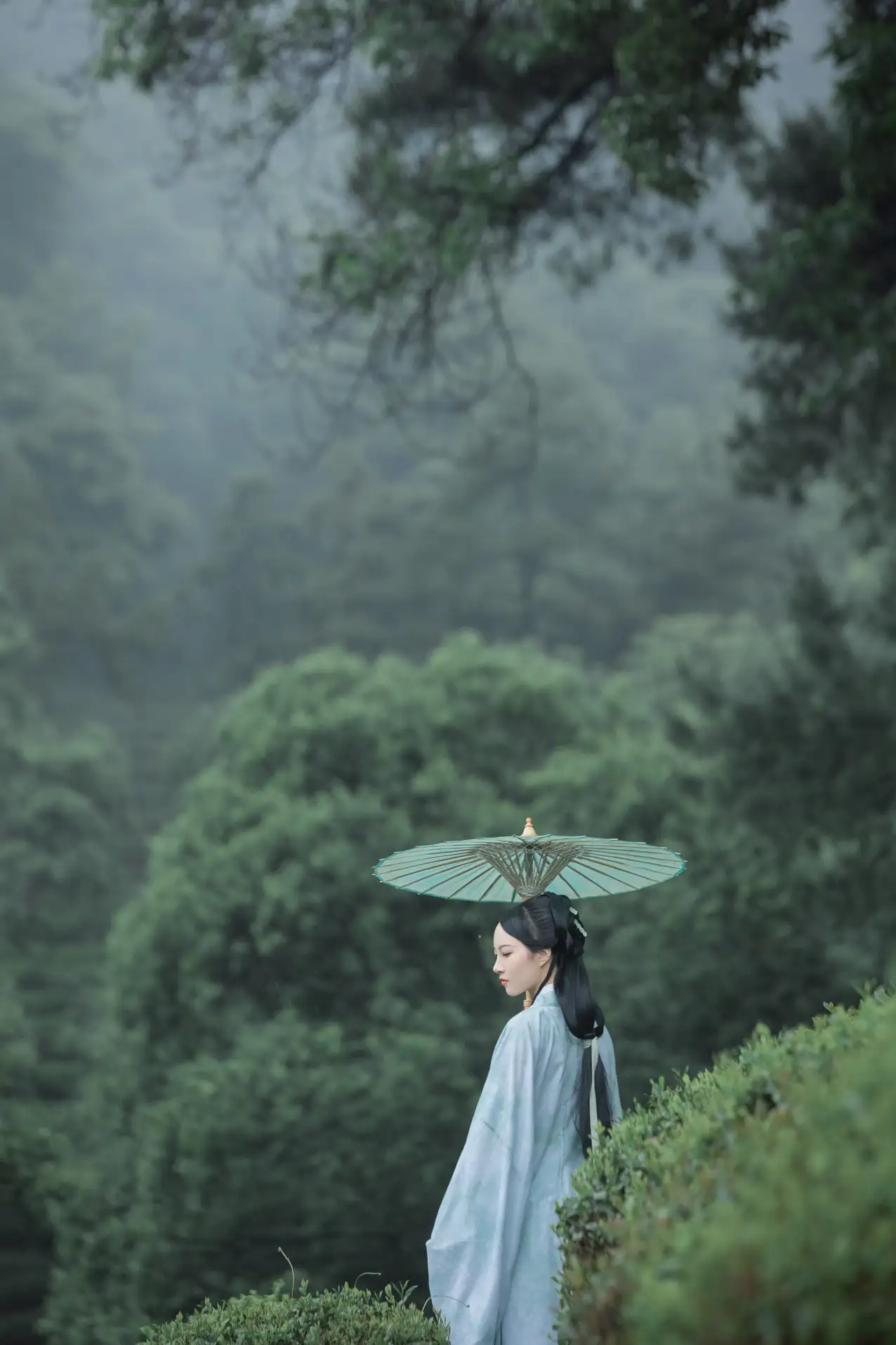 2022.07.05 Vol.1384 – 空山新雨 8