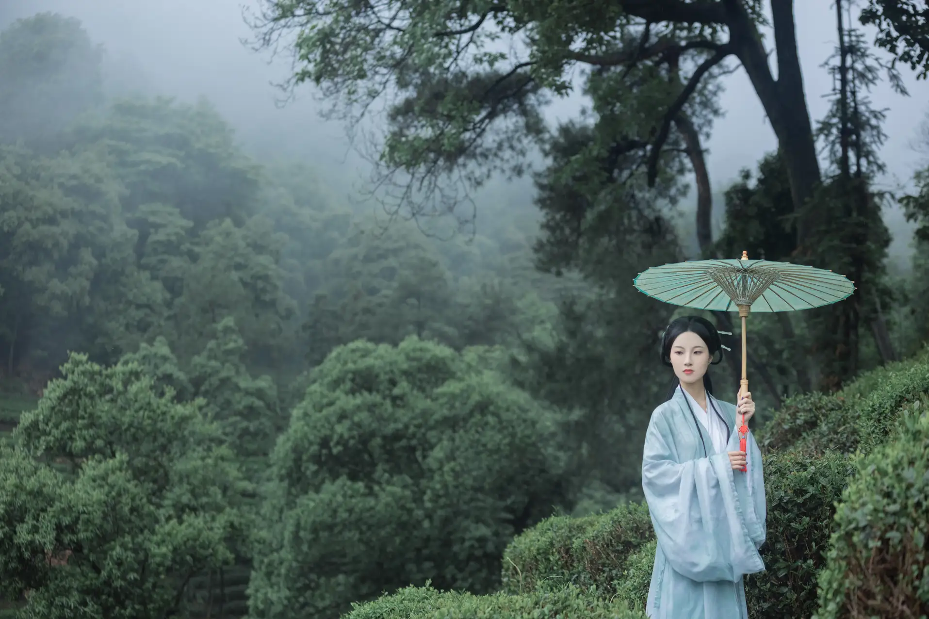 2022.07.05 Vol.1384 – 空山新雨 9