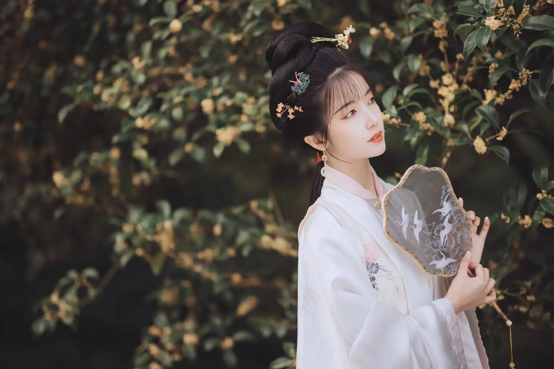 2021.11.22 Vol.463 – 桂花酿 11