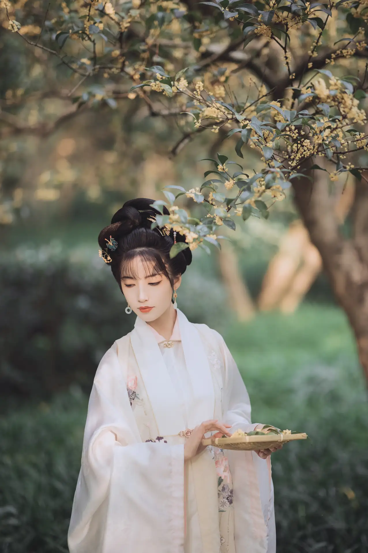 2021.11.22 Vol.463 – 桂花酿 14