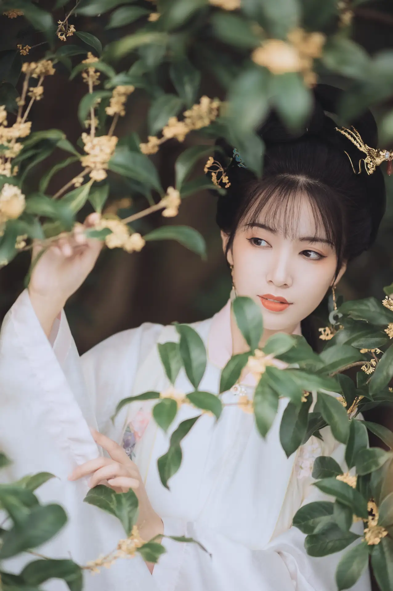 2021.11.22 Vol.463 – 桂花酿 17