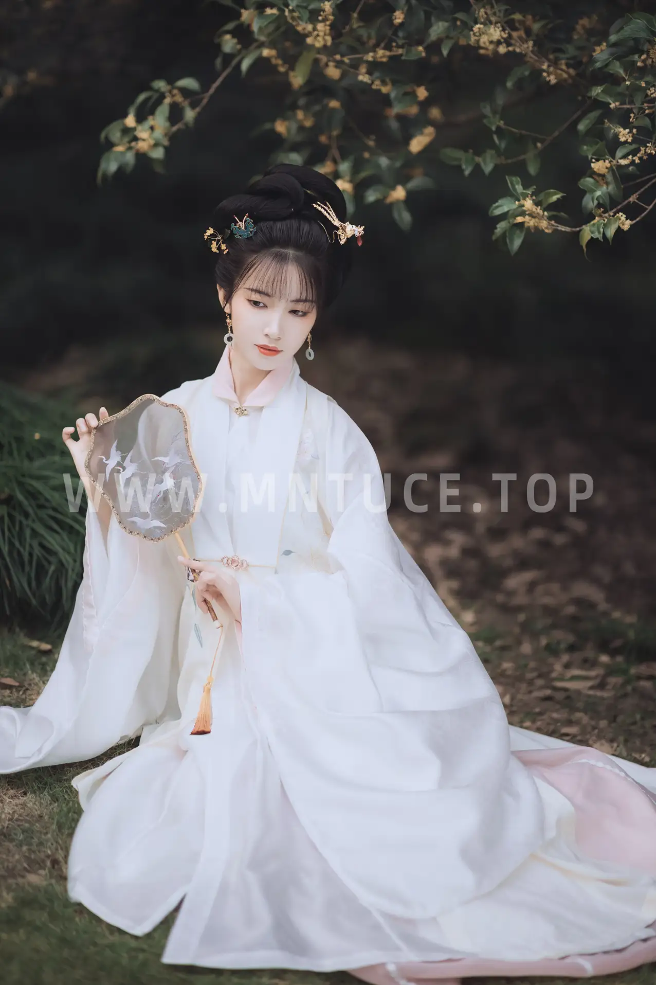 2021.11.22 Vol.463 – 桂花酿 19
