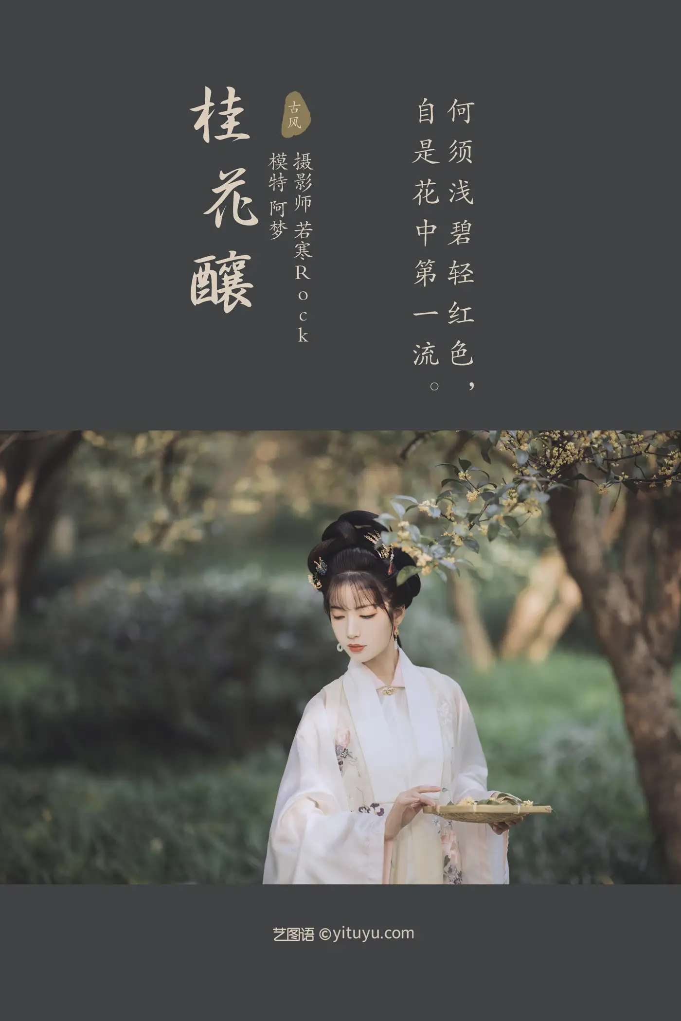 2021.11.22 Vol.463 – 桂花酿 2