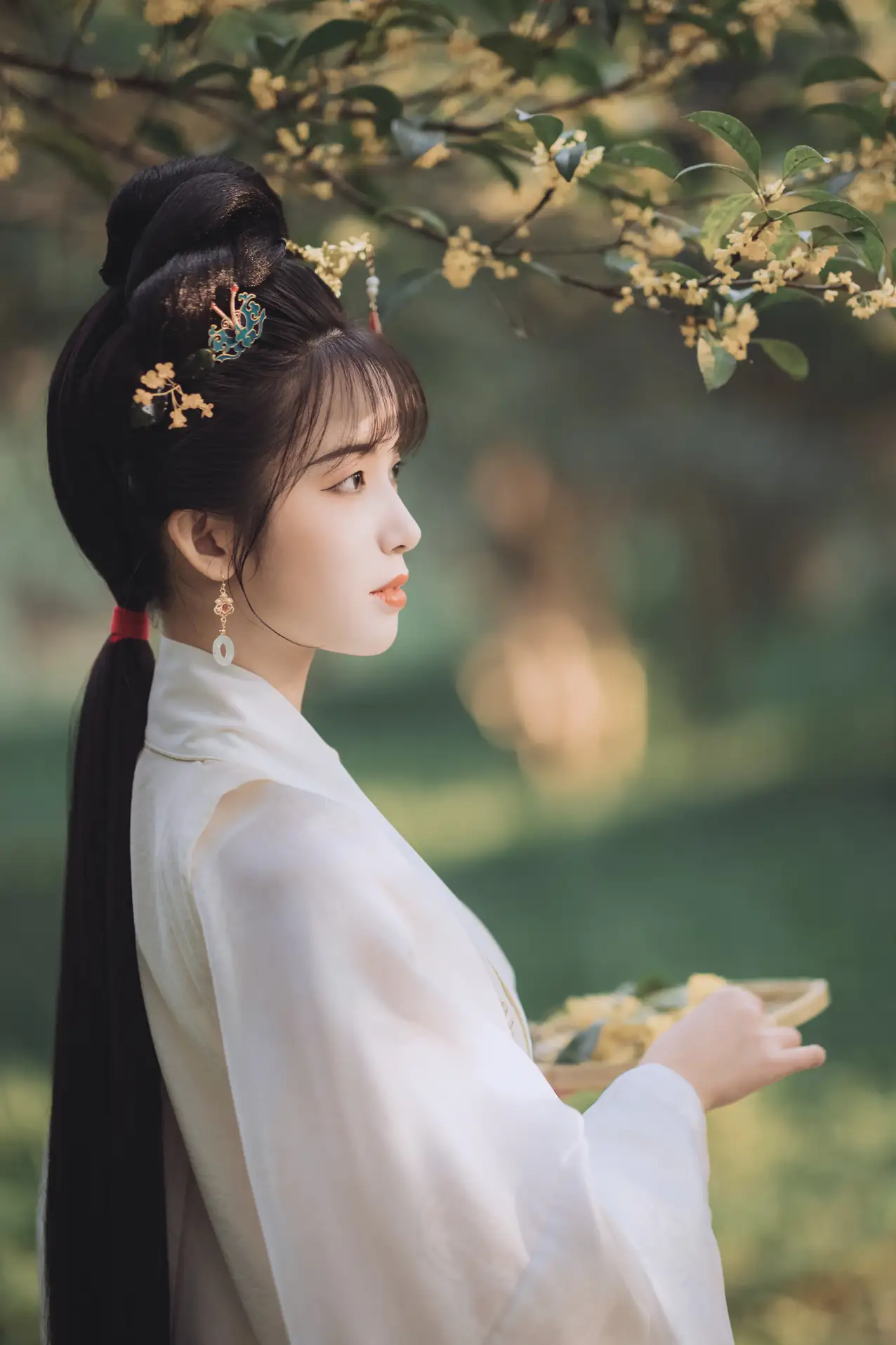2021.11.22 Vol.463 – 桂花酿 3