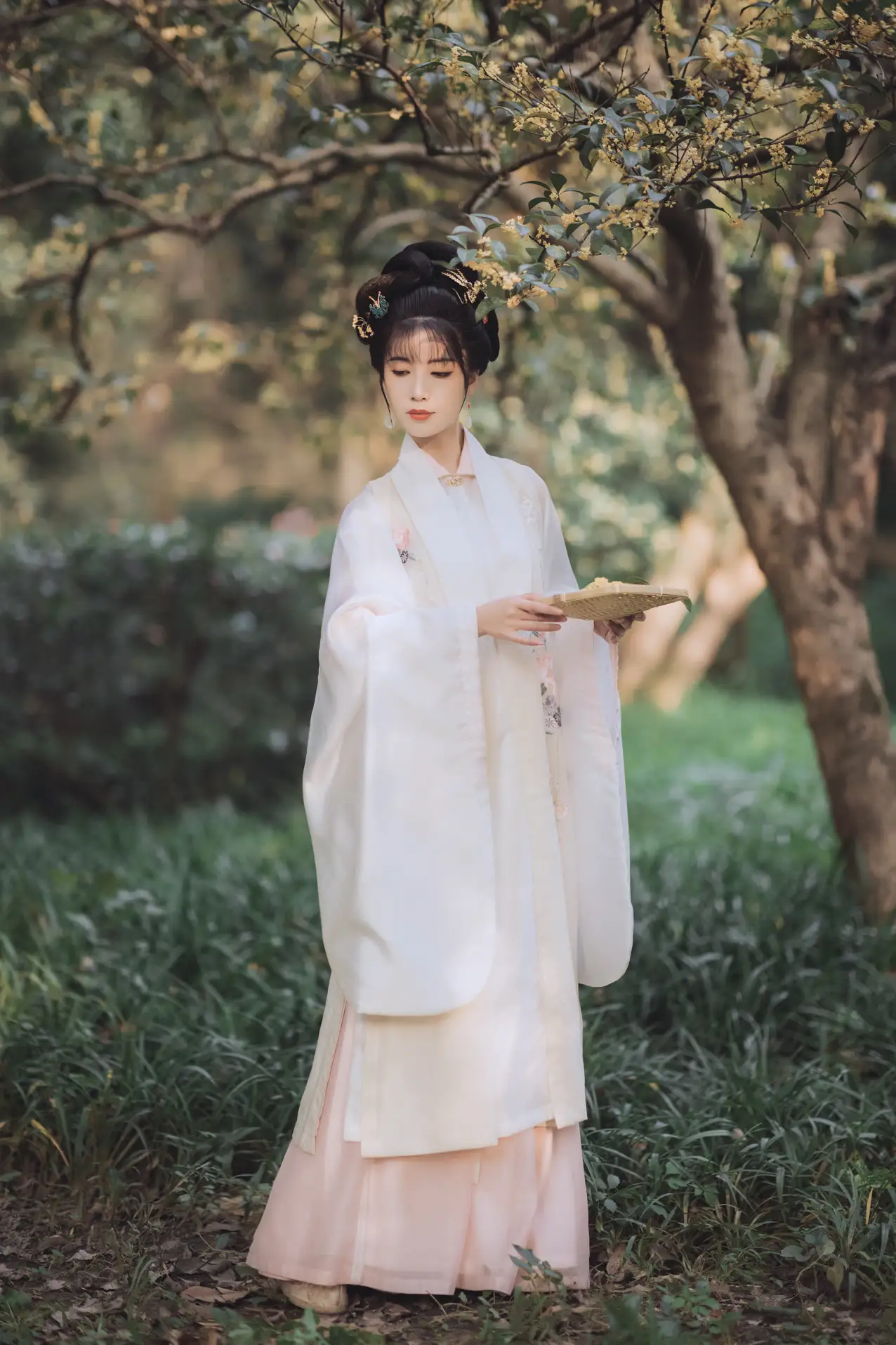 2021.11.22 Vol.463 – 桂花酿 5