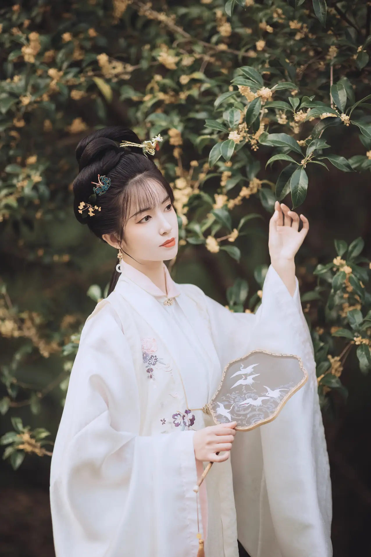 2021.11.22 Vol.463 – 桂花酿 9