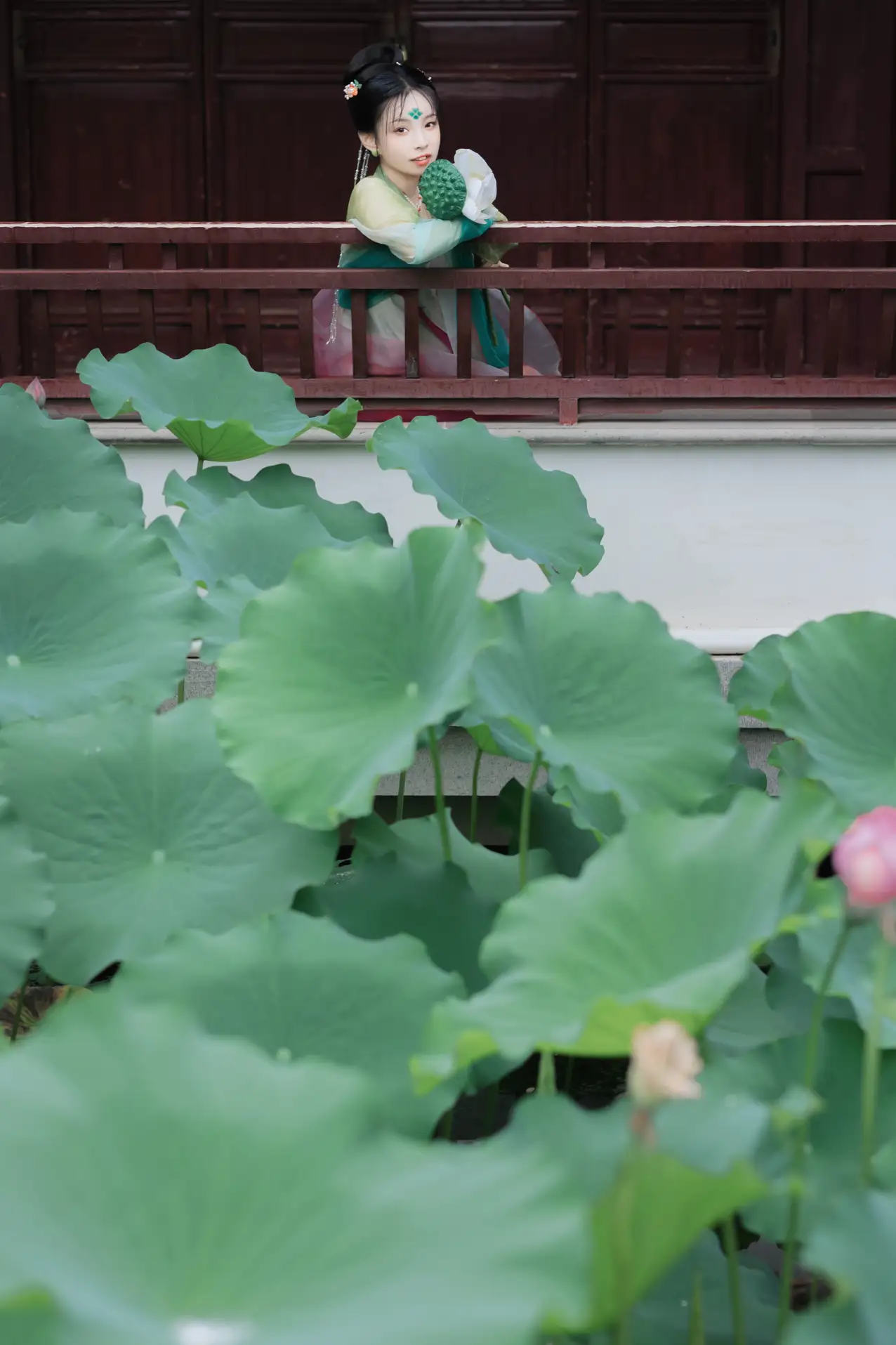2022.11.19 Vol.2479 – 雨润别院 26