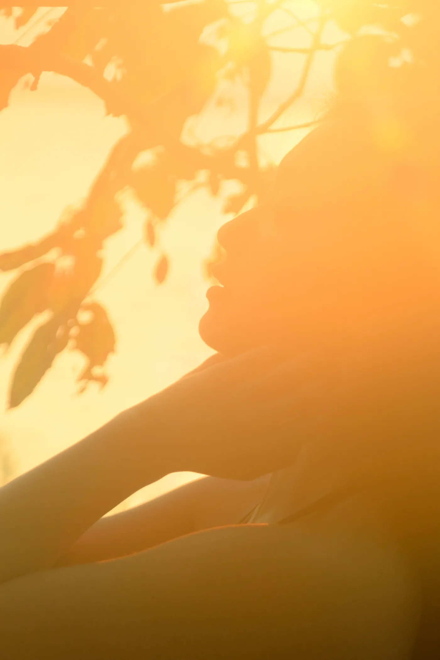 2022.12.05 Vol.2602 – 晨曦 19
