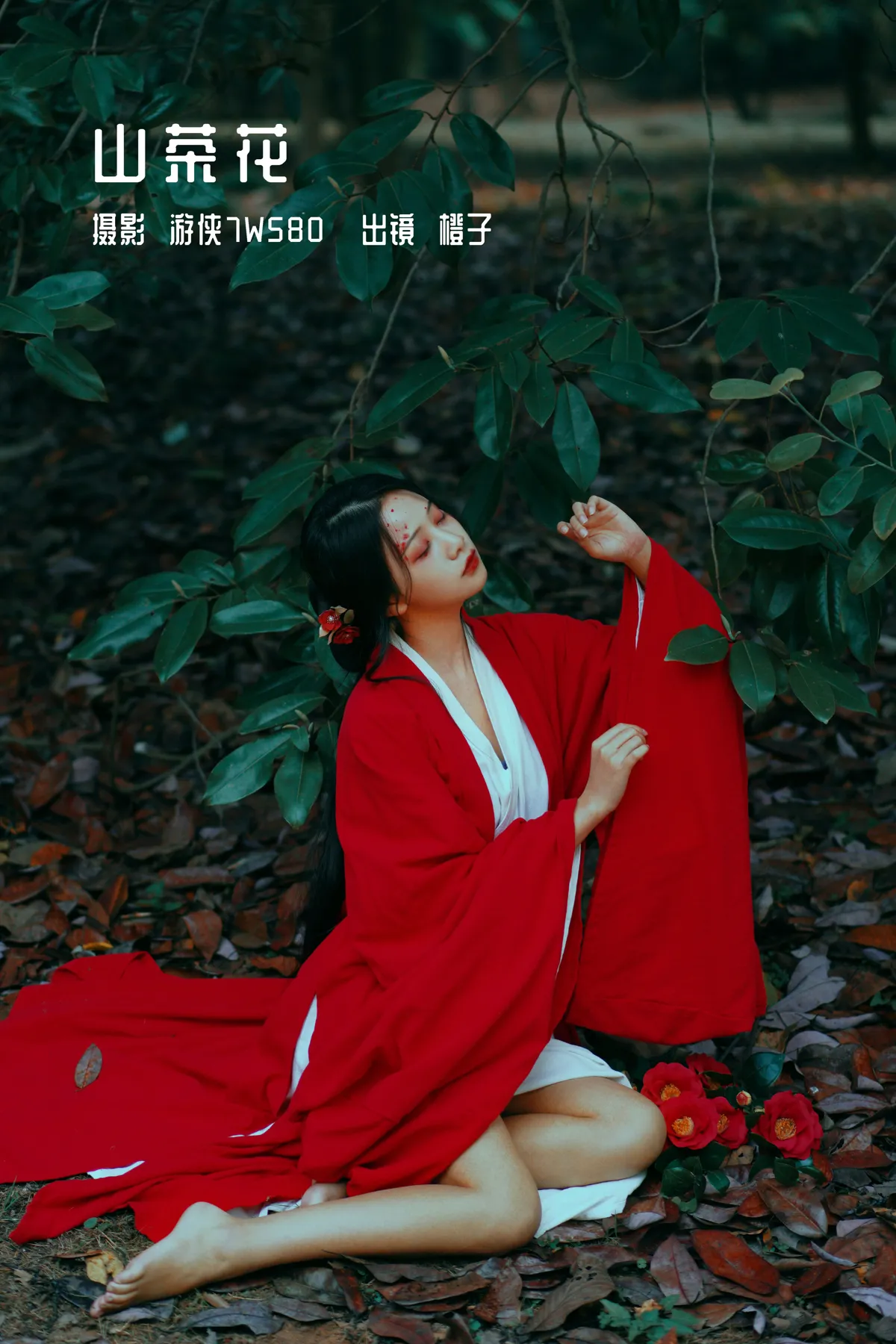 2022.12.15 Vol.2685 – 山茶花 1