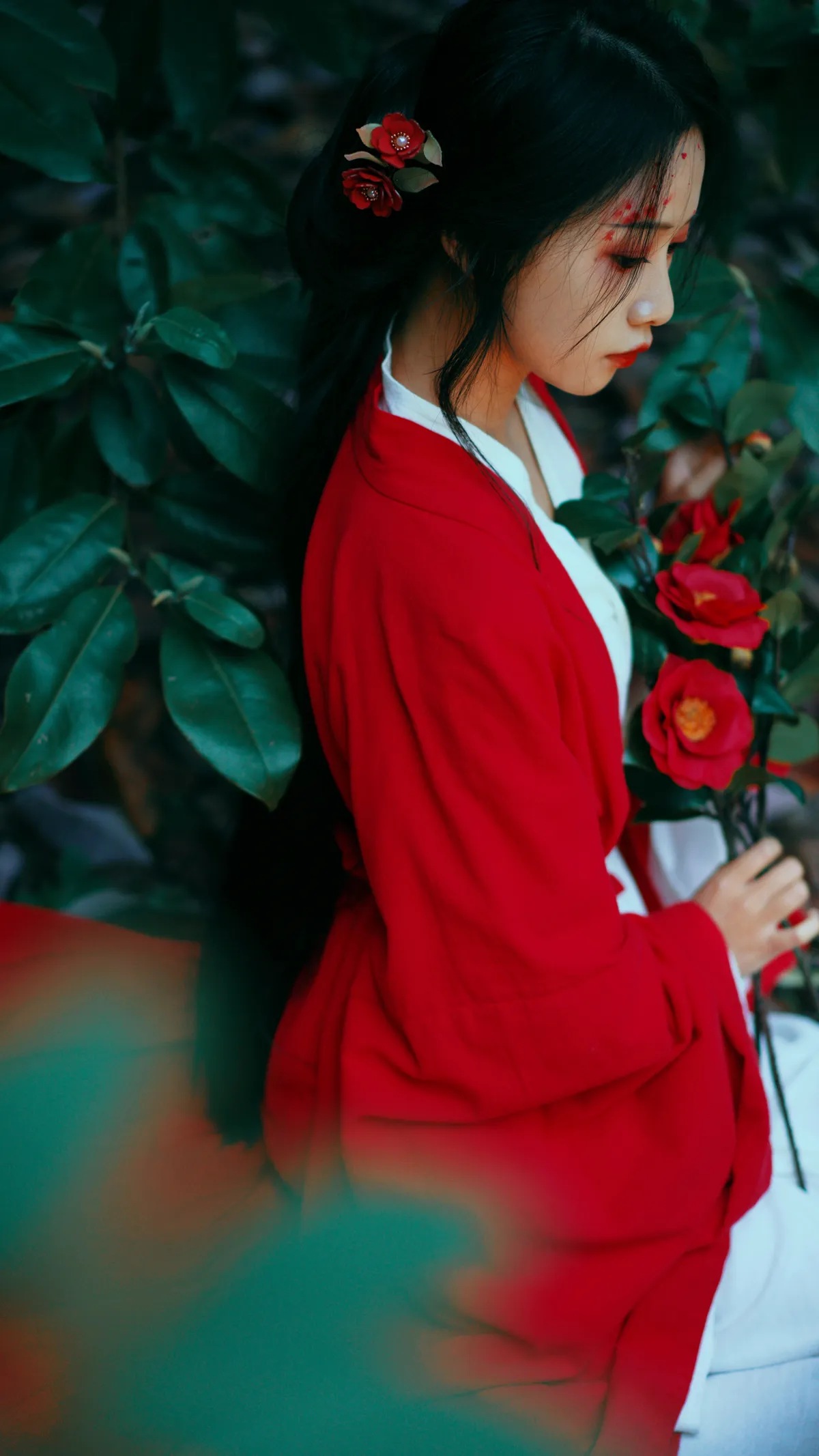 2022.12.15 Vol.2685 – 山茶花 11