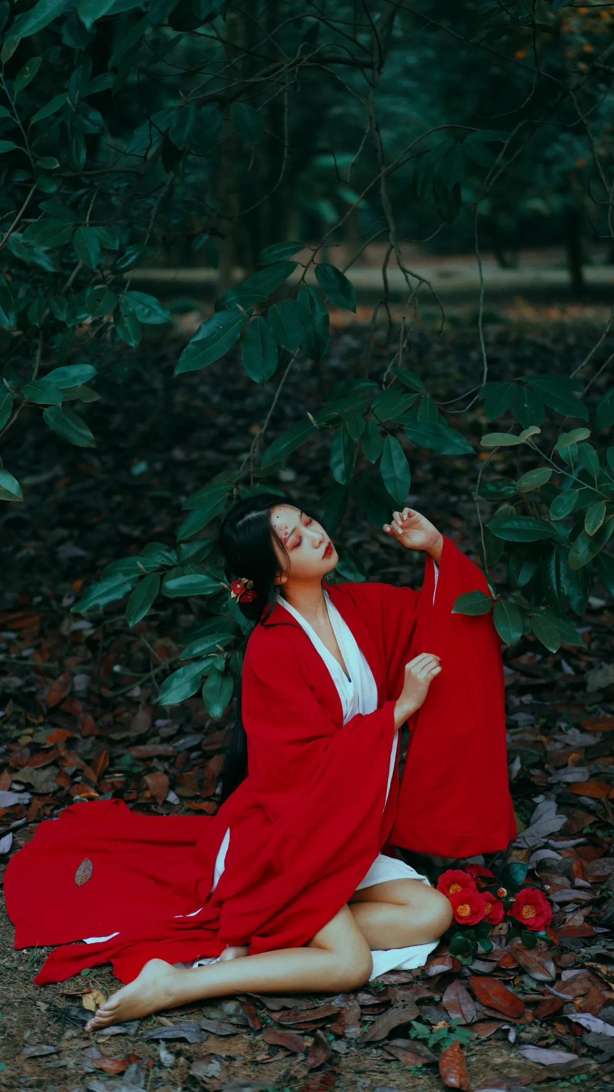 2022.12.15 Vol.2685 – 山茶花 13