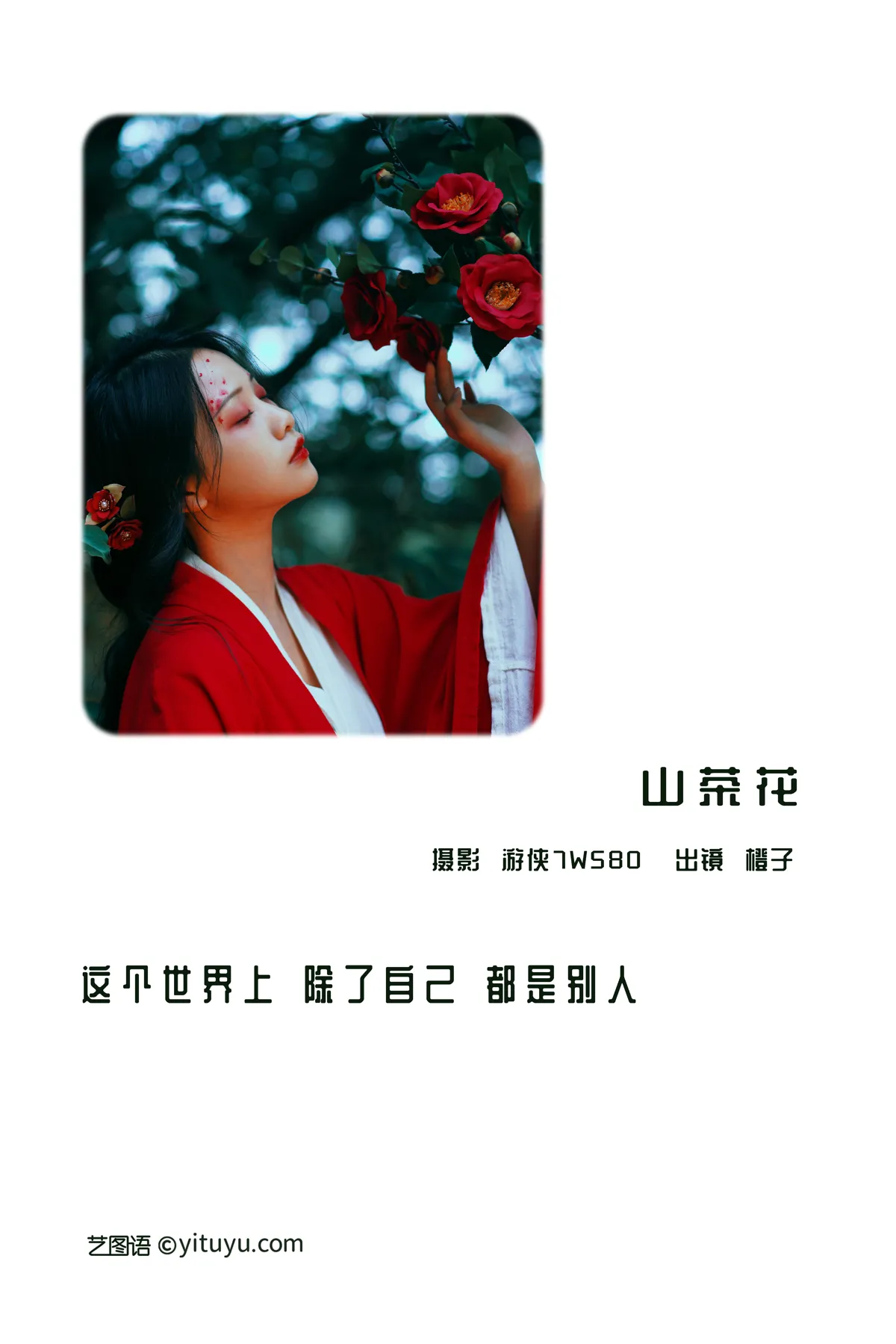 2022.12.15 Vol.2685 – 山茶花 2