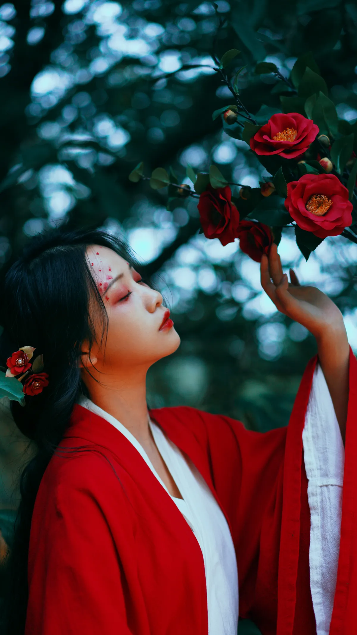 2022.12.15 Vol.2685 – 山茶花 20