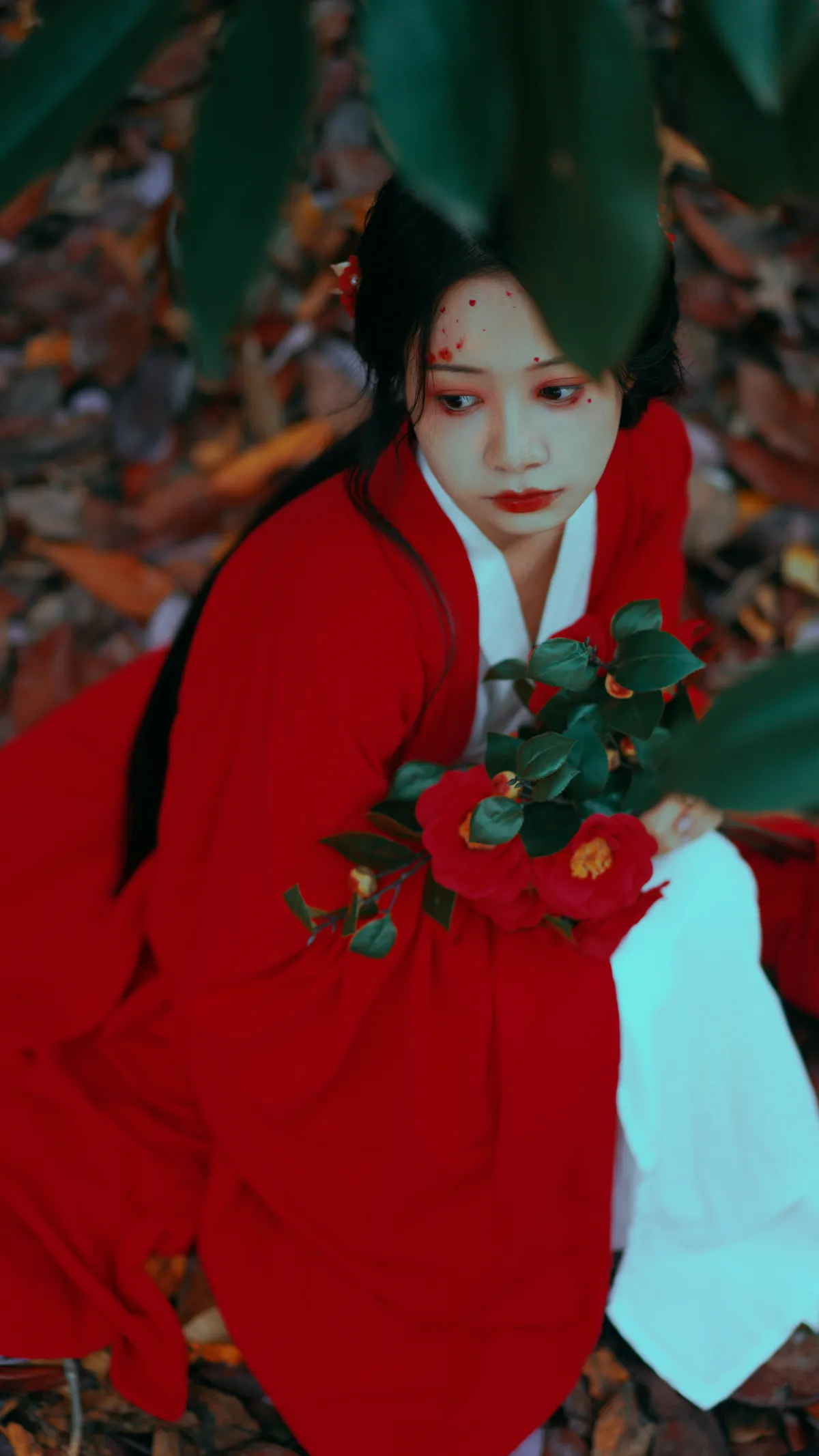 2022.12.15 Vol.2685 – 山茶花 21