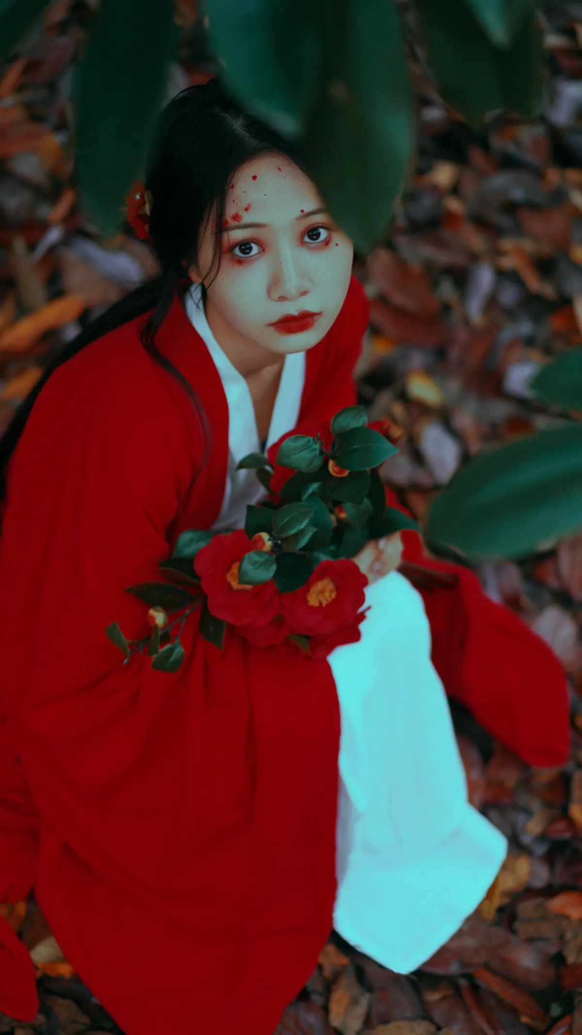 2022.12.15 Vol.2685 – 山茶花 22
