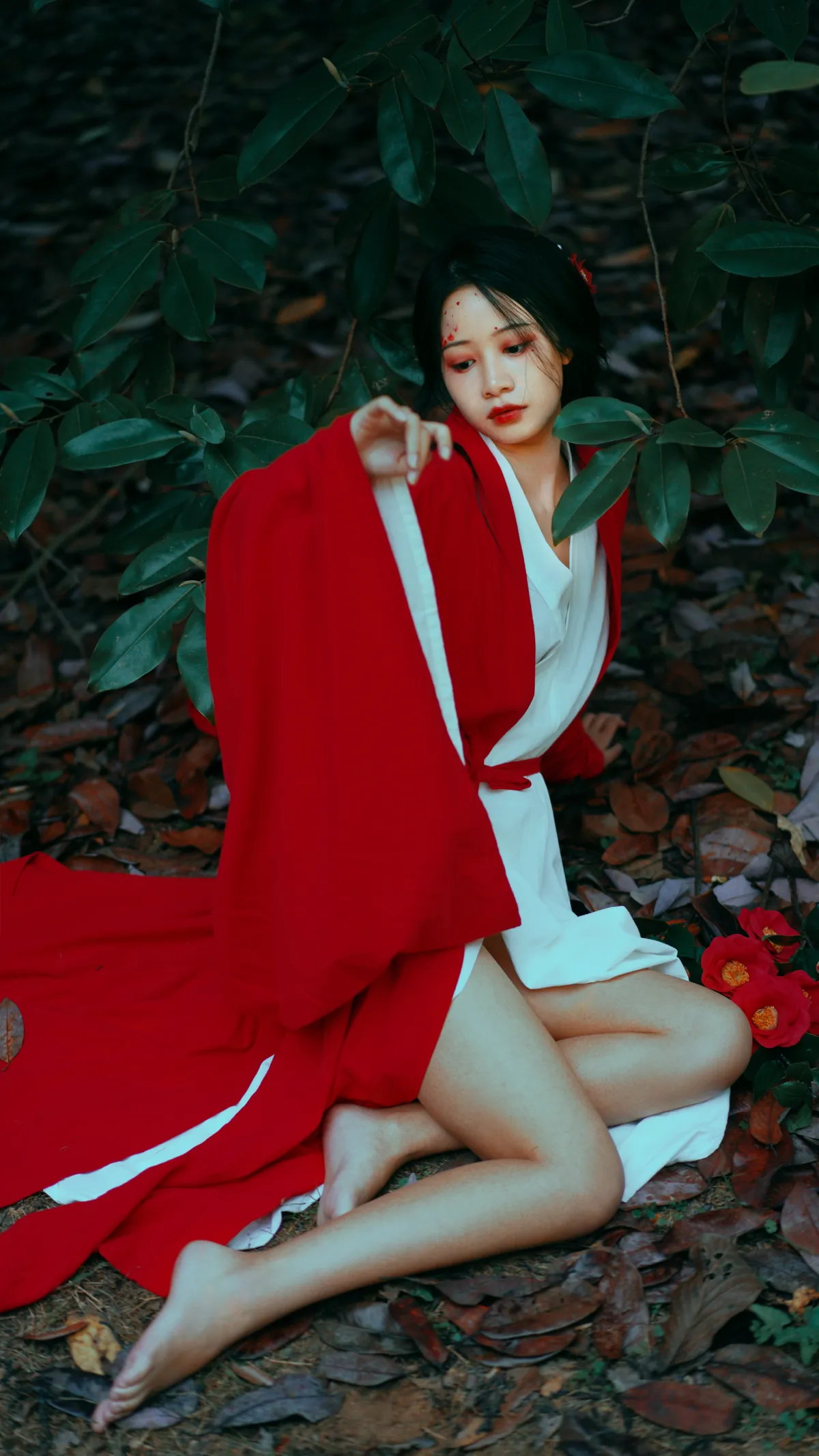 2022.12.15 Vol.2685 – 山茶花 3