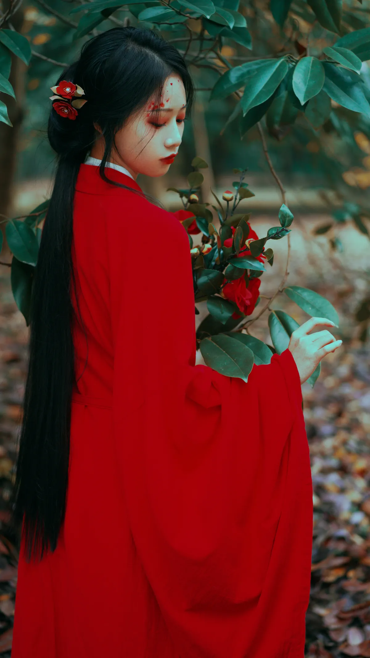 2022.12.15 Vol.2685 – 山茶花 4
