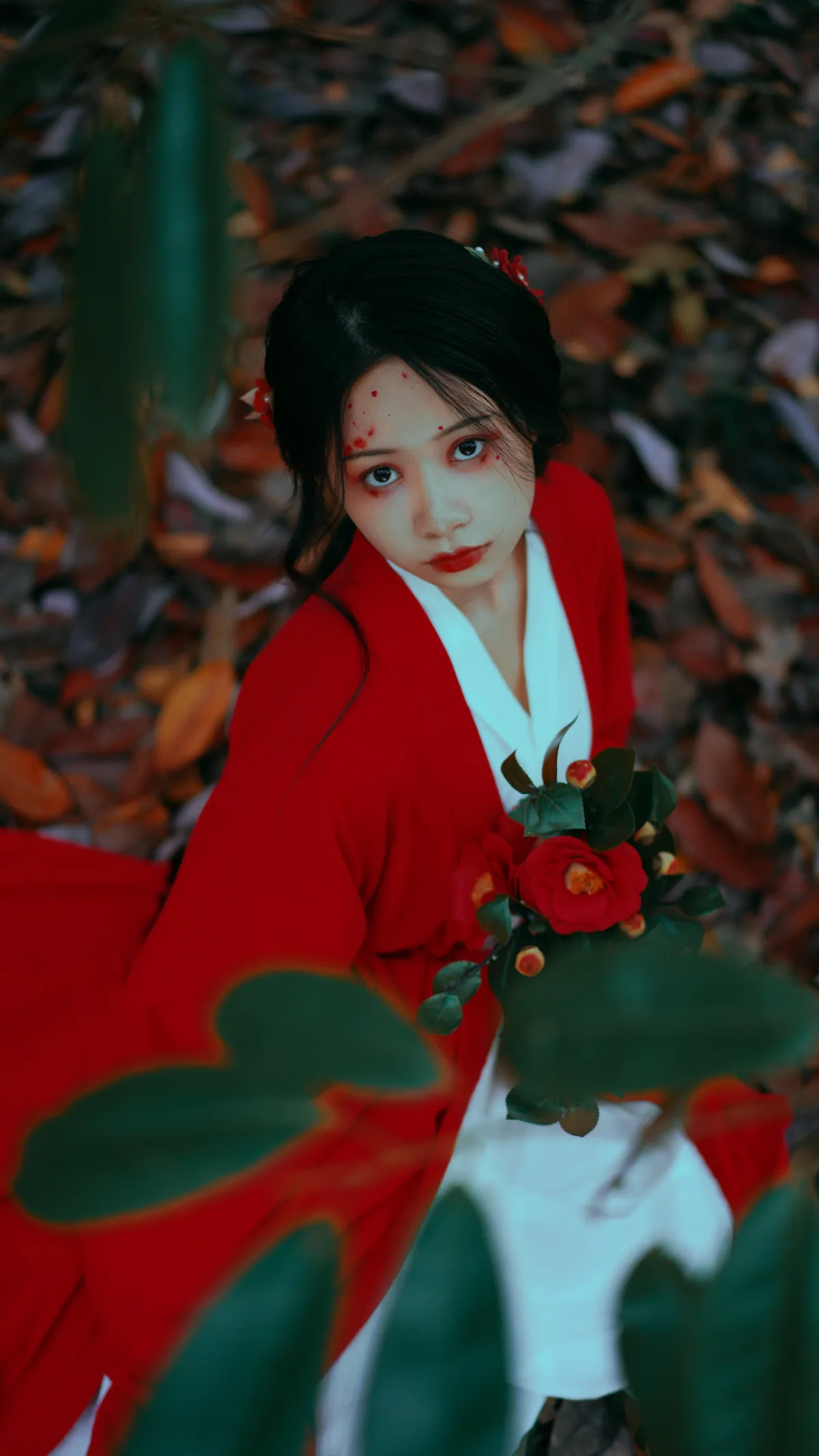 2022.12.15 Vol.2685 – 山茶花 5