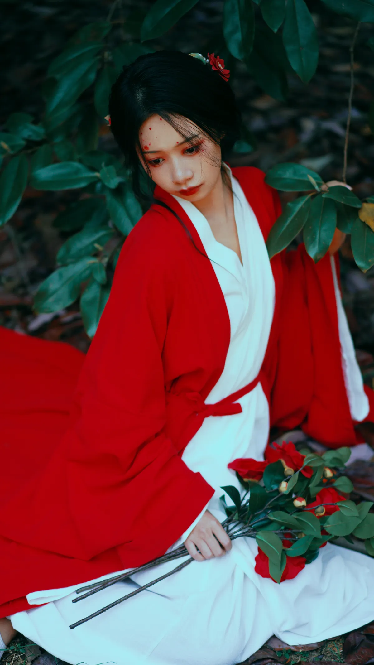 2022.12.15 Vol.2685 – 山茶花 8