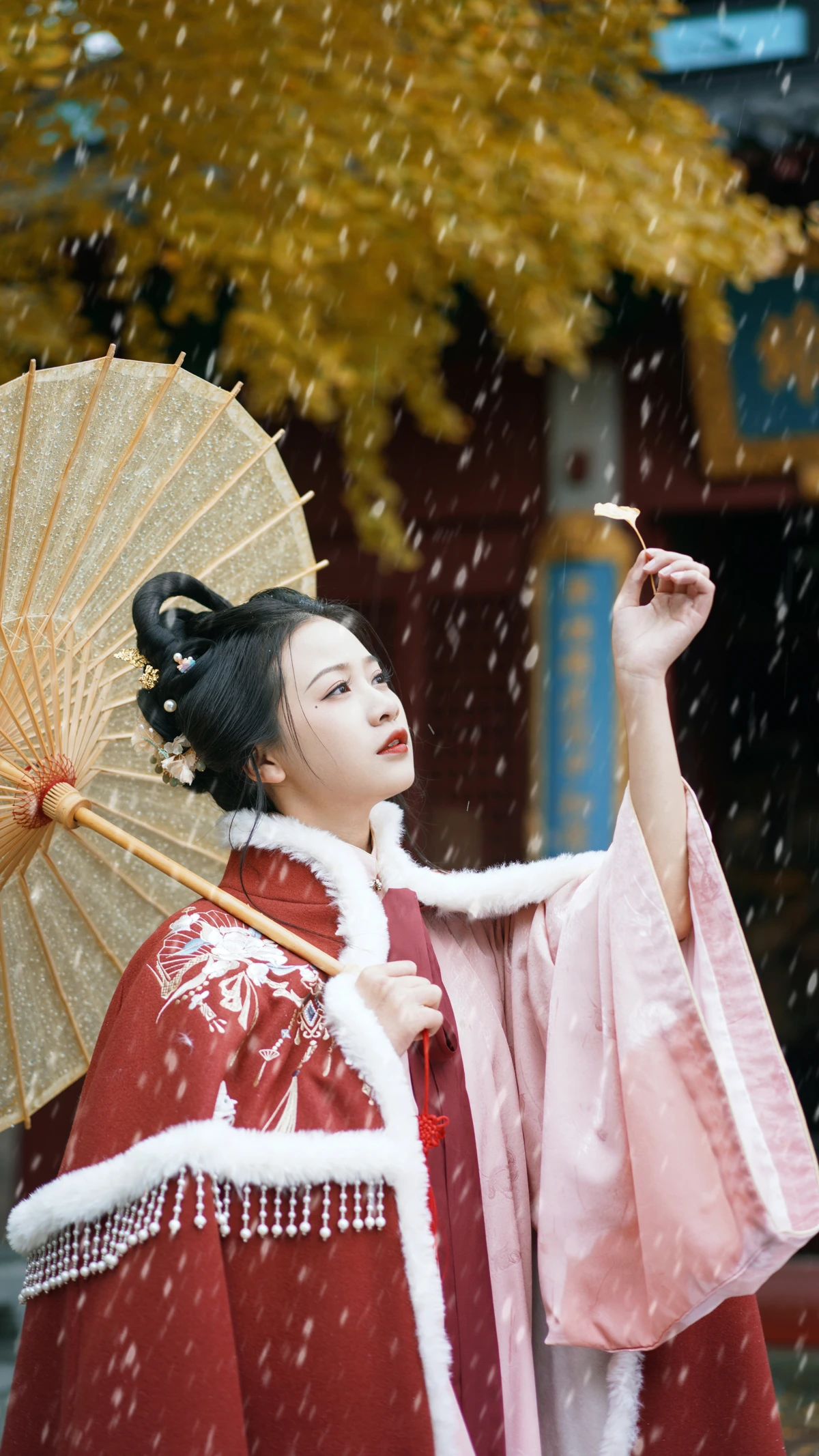 2022.12.22 Vol.2727 – 初雪 10