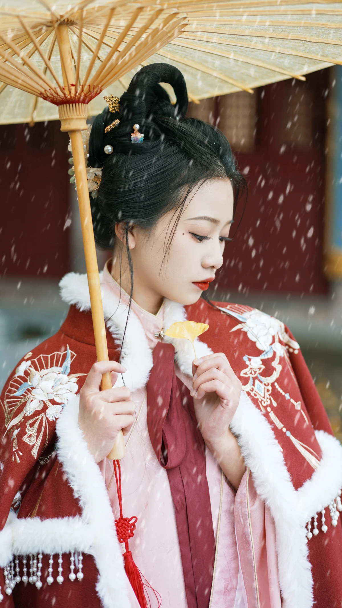 2022.12.22 Vol.2727 – 初雪 11