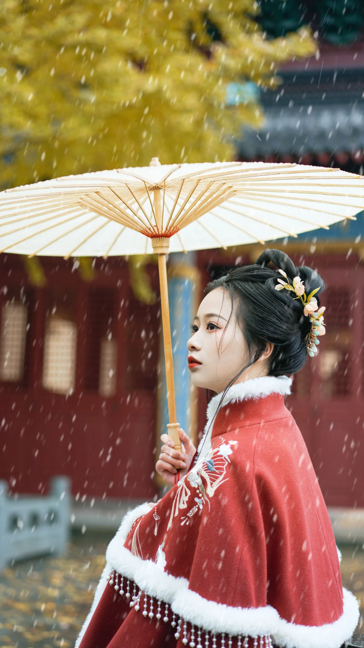 2022.12.22 Vol.2727 – 初雪 15