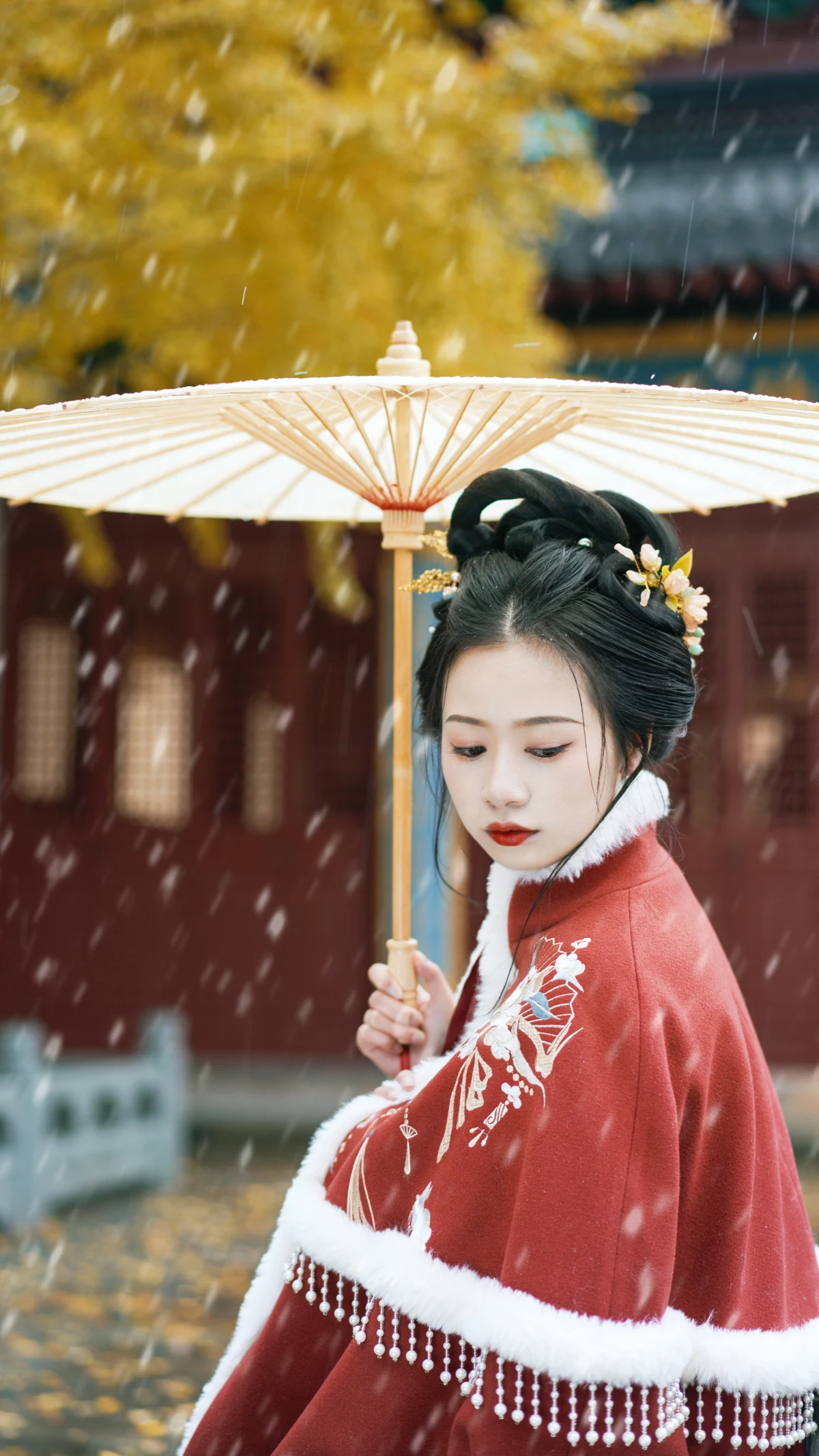 2022.12.22 Vol.2727 – 初雪 16
