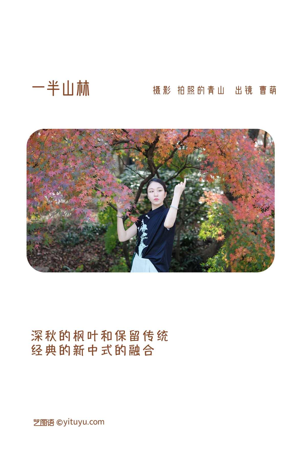 2022.12.20 Vol.2720 – 一半山林 2
