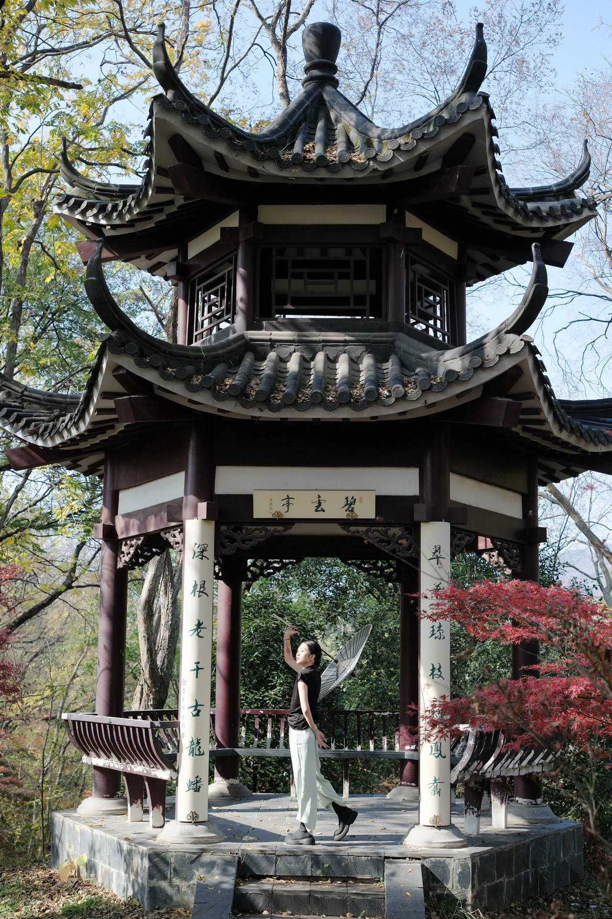2022.12.20 Vol.2720 – 一半山林 8